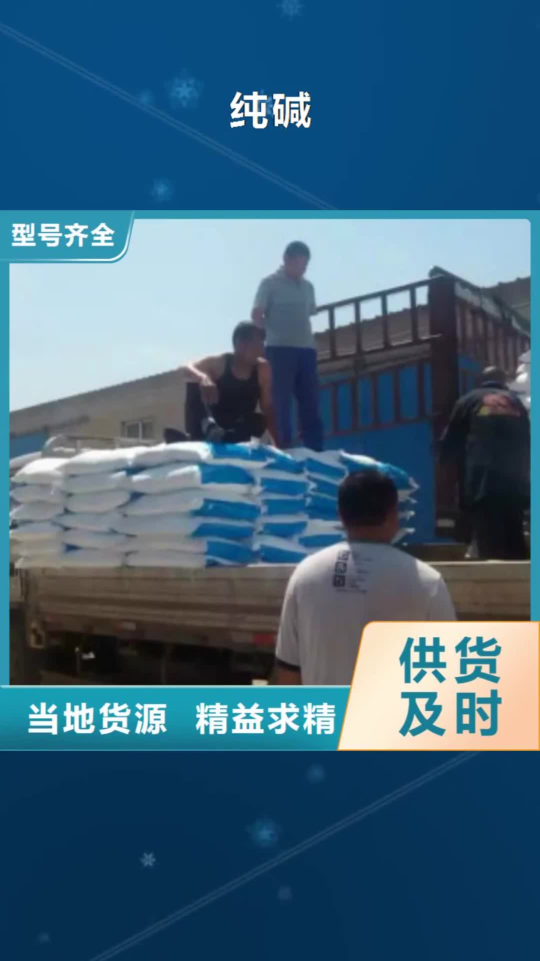 莱芜【纯碱】-碳酸氢钠优选厂家
