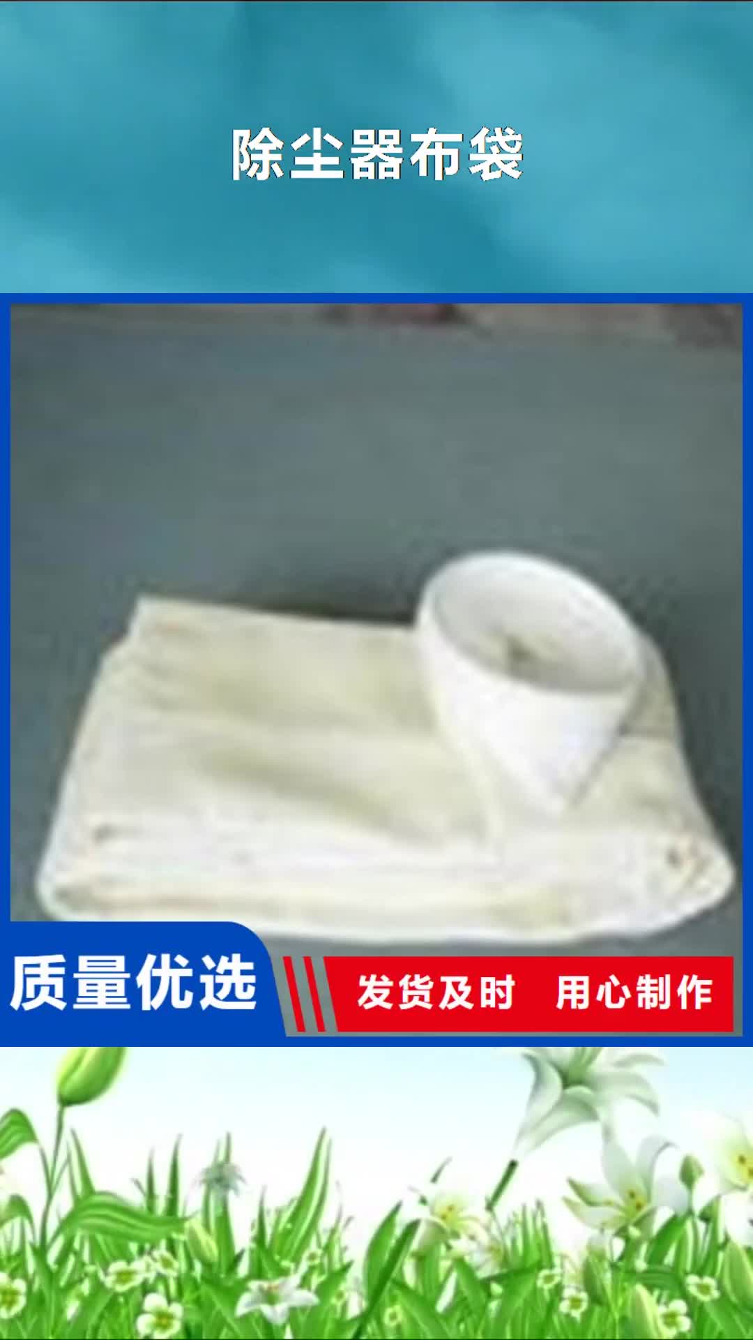 牡丹江 除尘器布袋,【脉冲布袋除尘器】产品实拍