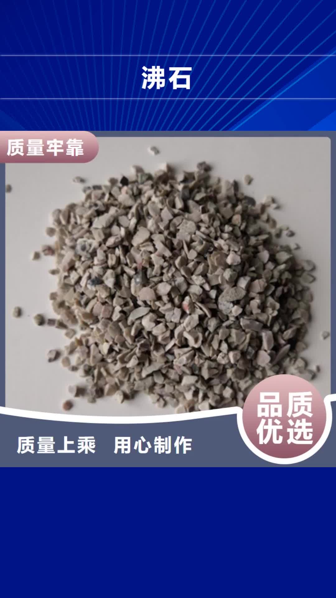 【葫芦岛 沸石 陶粒支持大小批量采购】