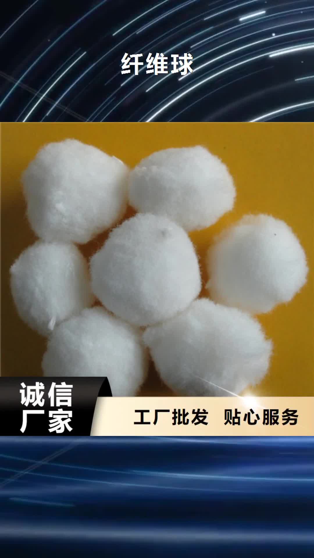 绥化【纤维球】-陶粒快速发货