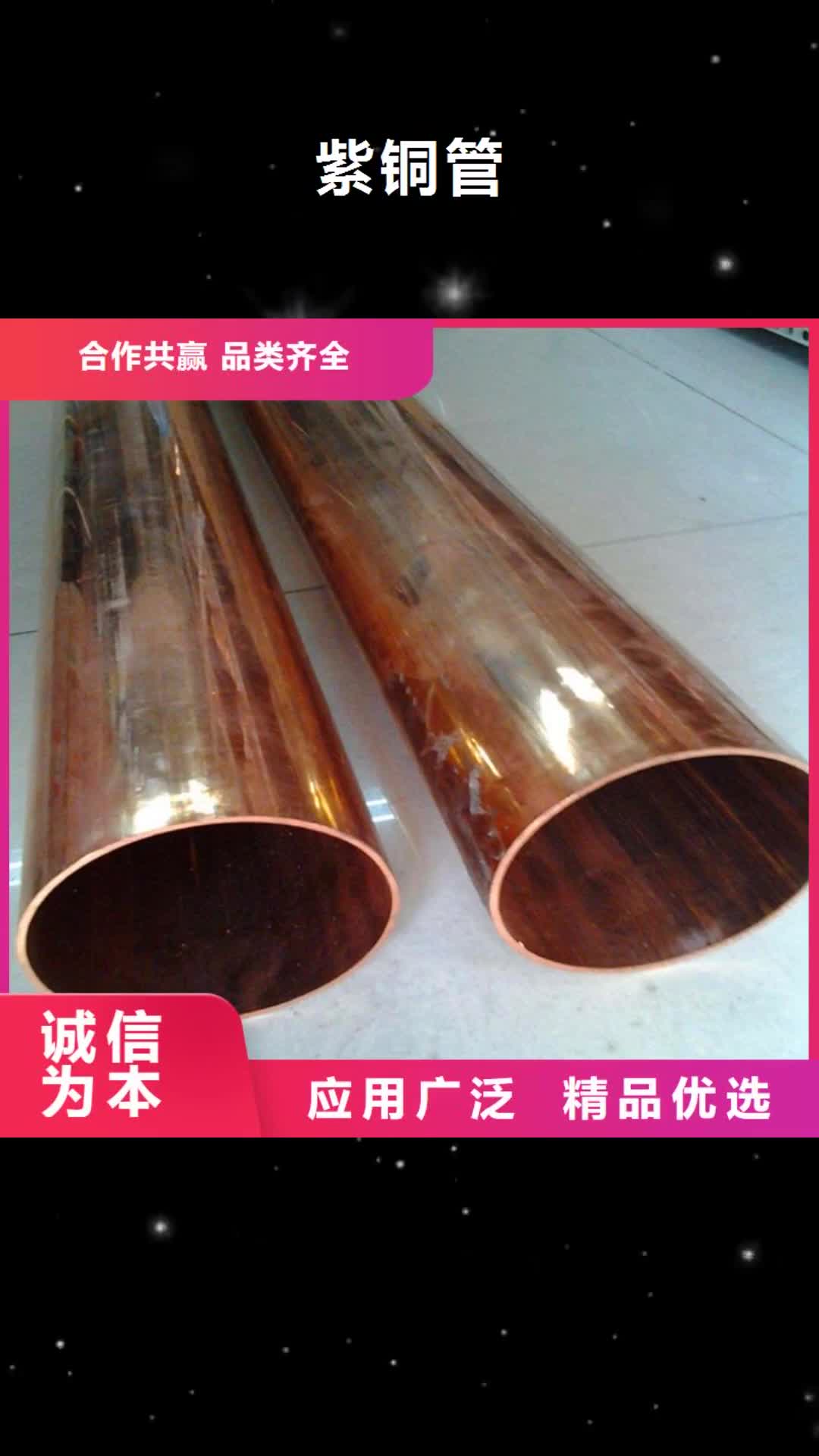【威海 紫铜管_紫铜排细节展示】