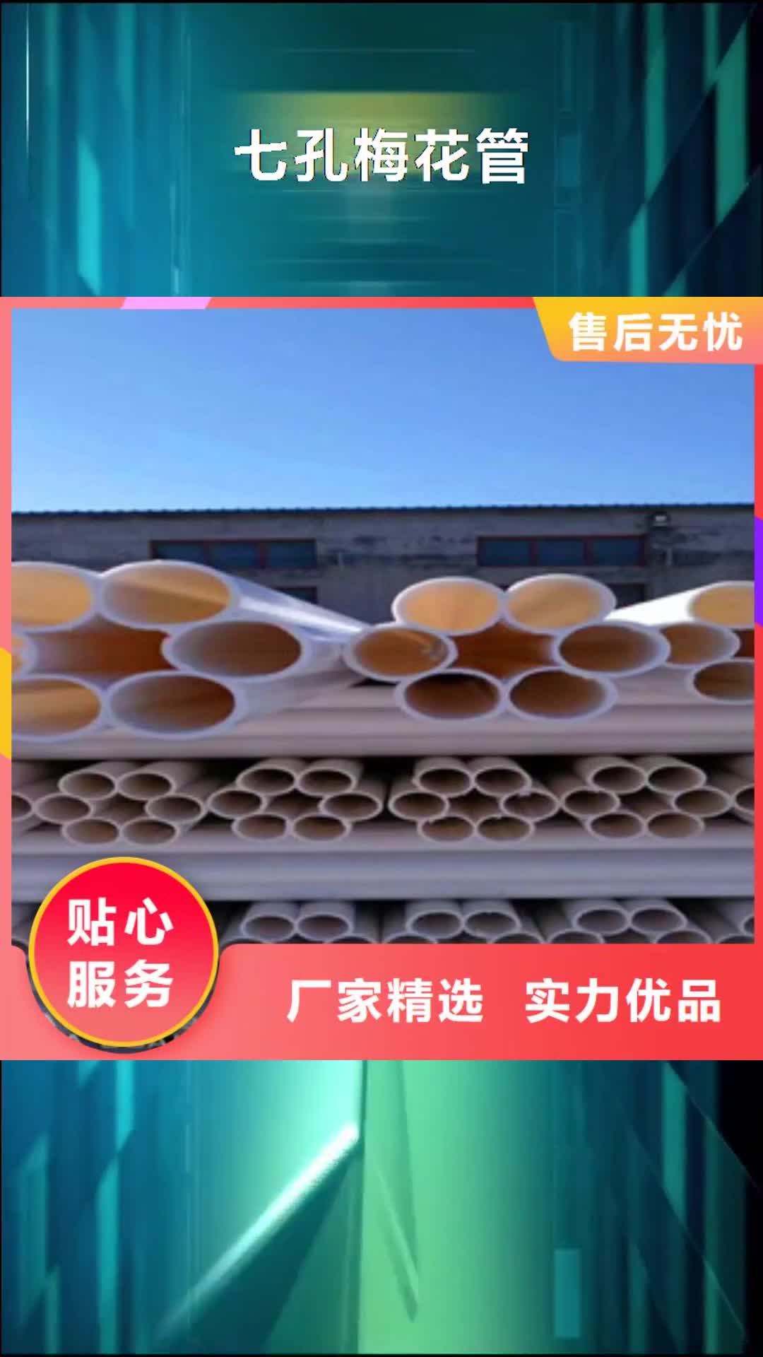 【汕尾 七孔梅花管双壁波纹管厂现货直供】