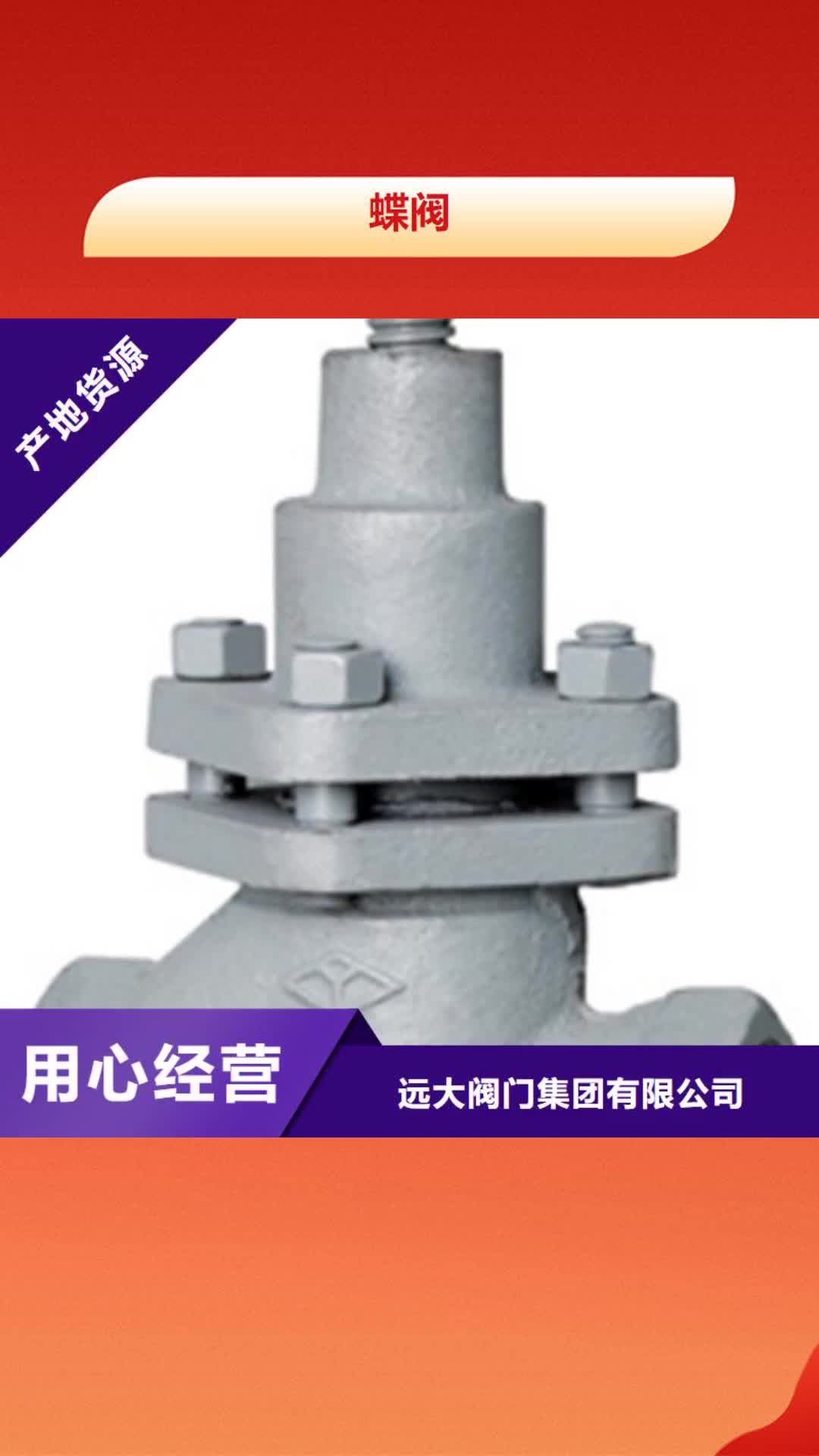 广安【蝶阀】,远大阀门天津分公司快速物流发货