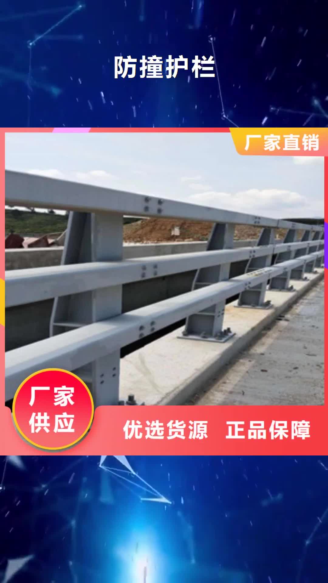 池州 防撞护栏_【道路桥梁护栏】做工细致