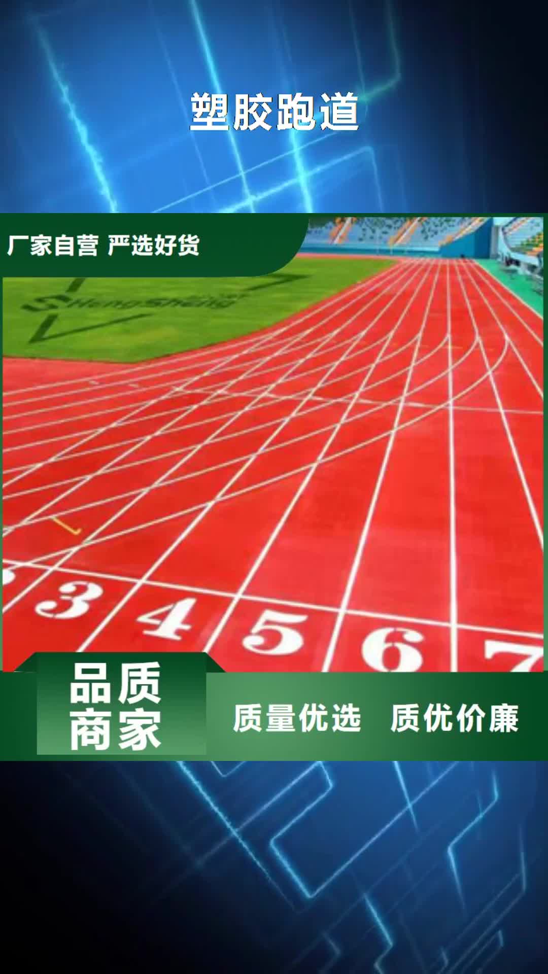【淮南 塑胶跑道 弹性地板球馆好货直销】