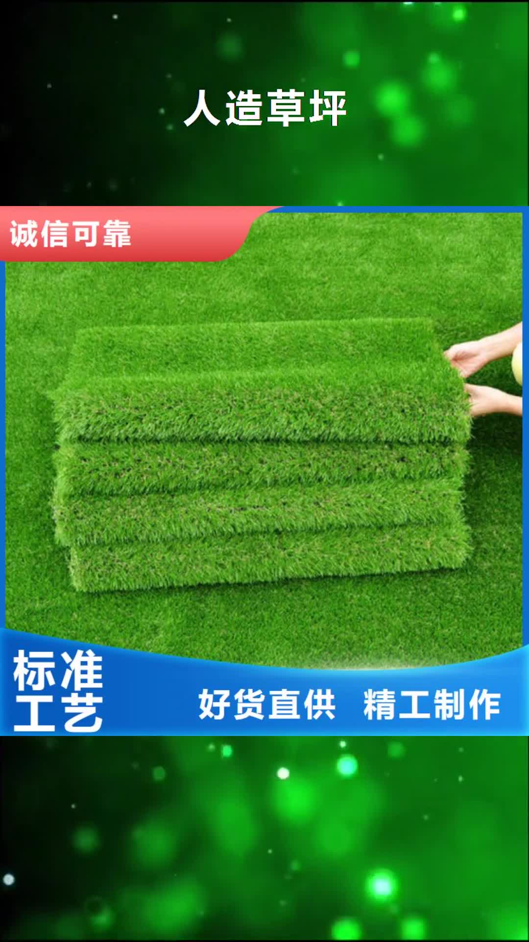 淮安 人造草坪-【橡胶地板】种类齐全