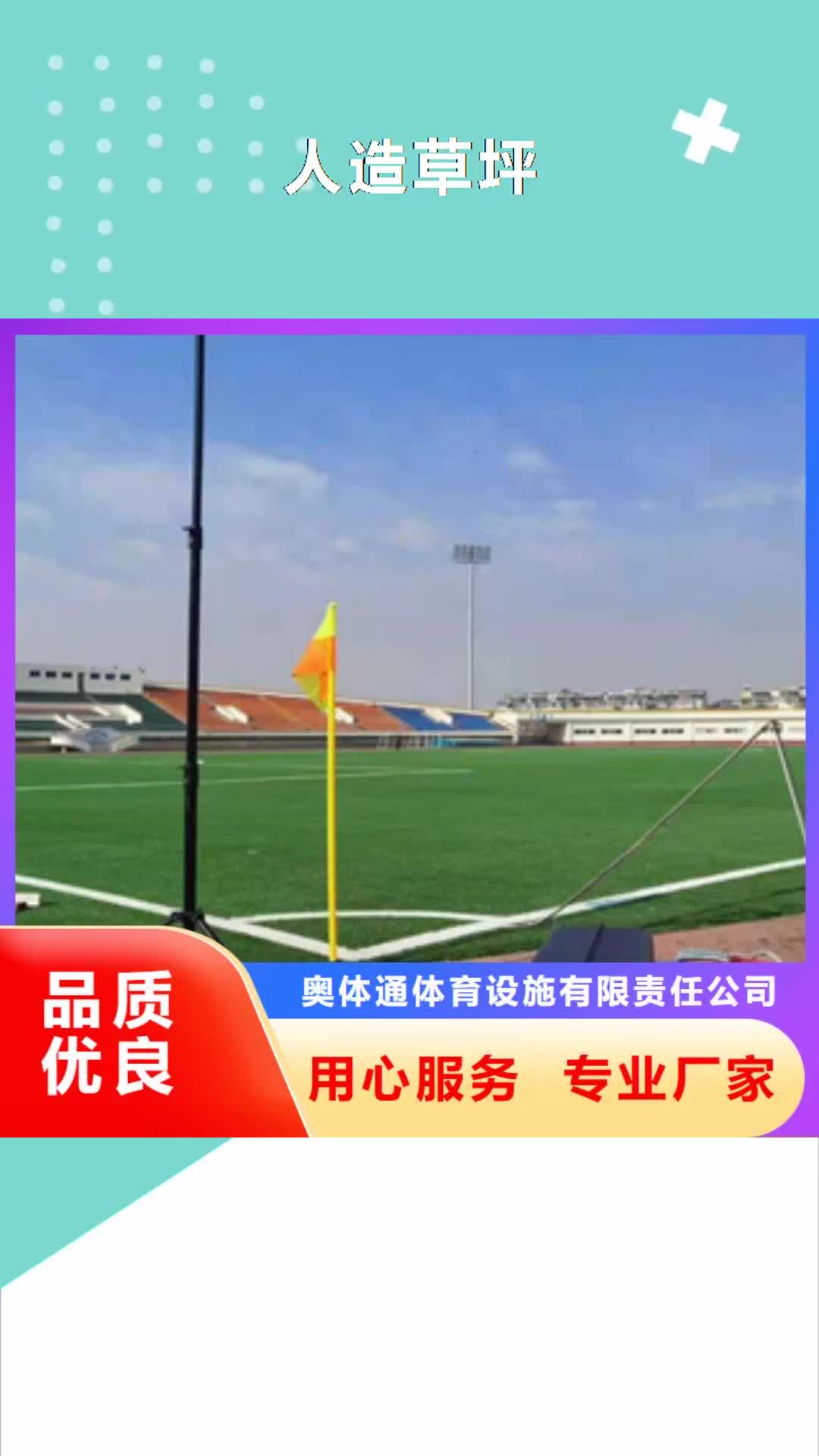【大连 人造草坪,塑胶跑道厂家厂家技术完善】