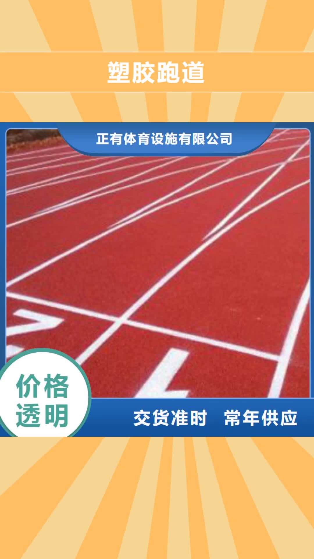 营口 塑胶跑道-【球场施工公司】实体诚信经营
