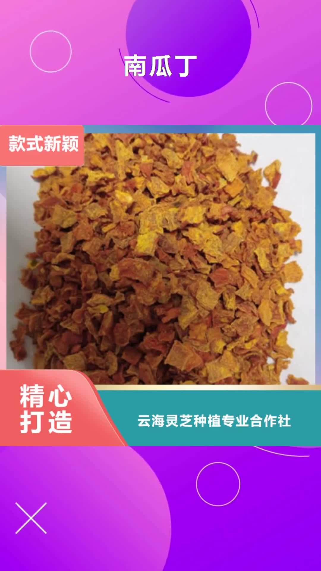 广西 南瓜丁 【灵芝盆景】严选用料