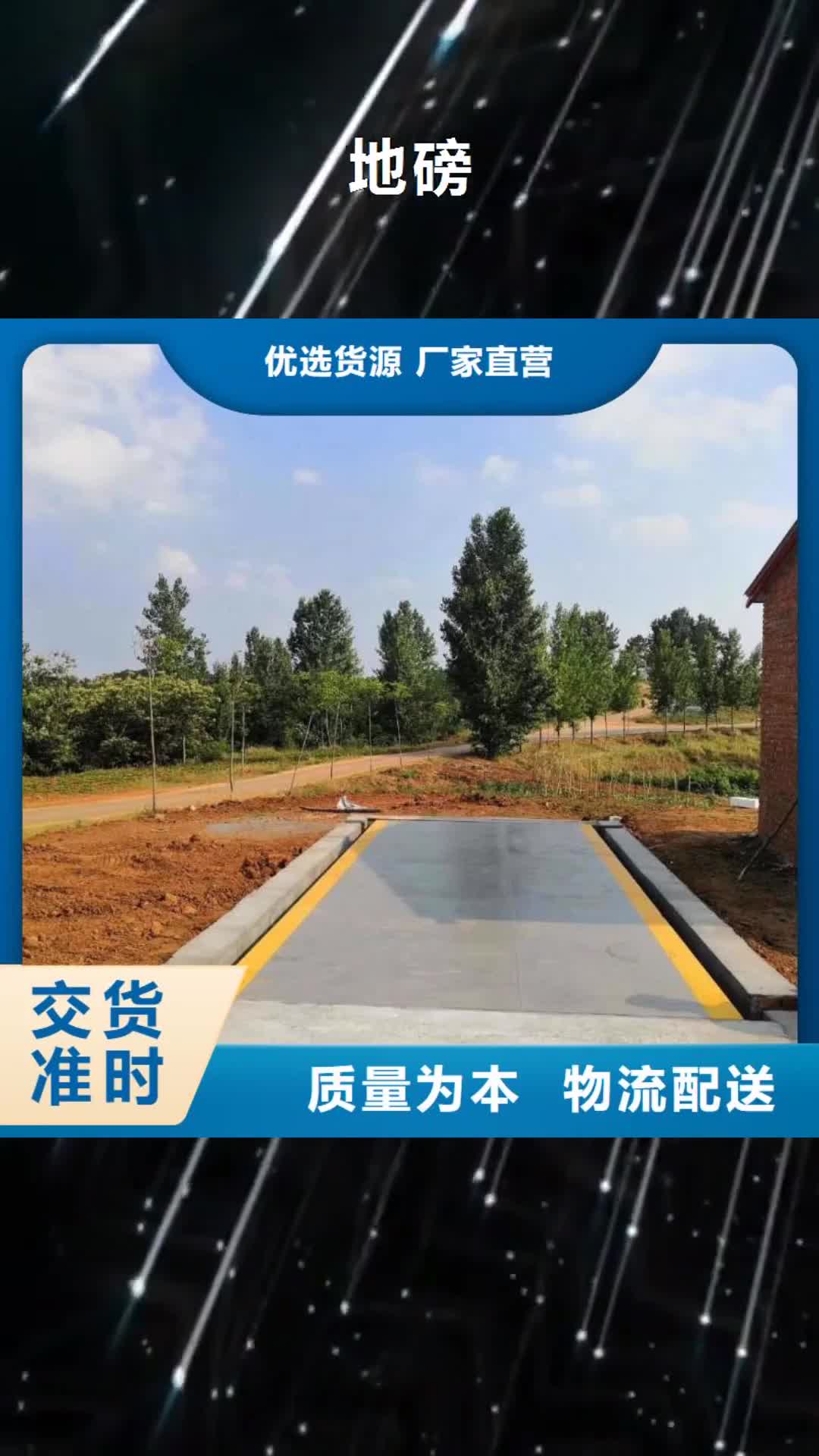 【浙江 地磅-传菜电梯厂家选择大厂家省事省心】