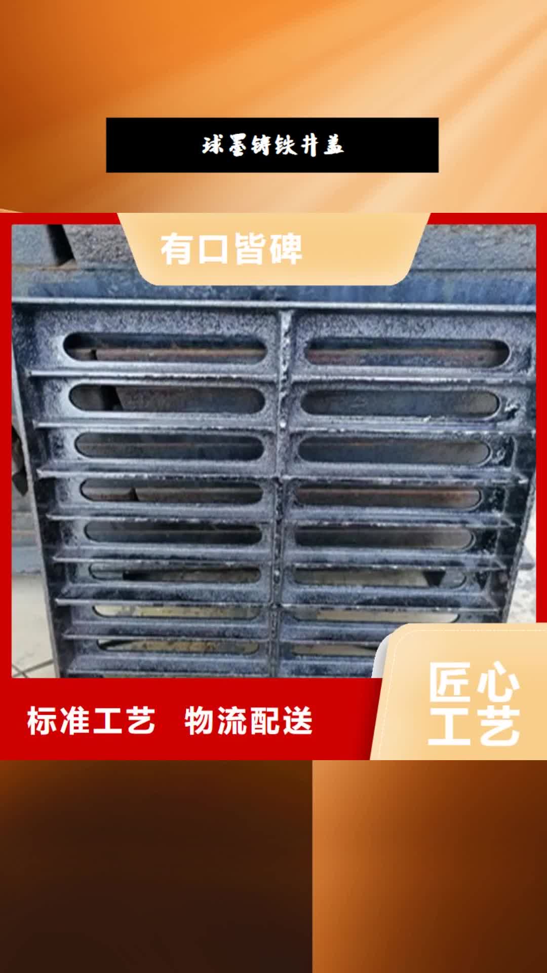 抚顺 球墨铸铁井盖,【球墨铸铁篦子】用品质说话