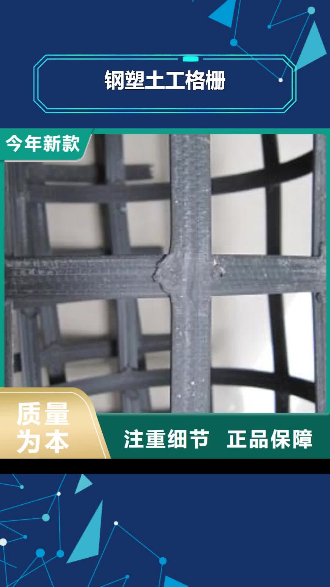 周口 钢塑土工格栅 【HDPE土工膜】产地批发