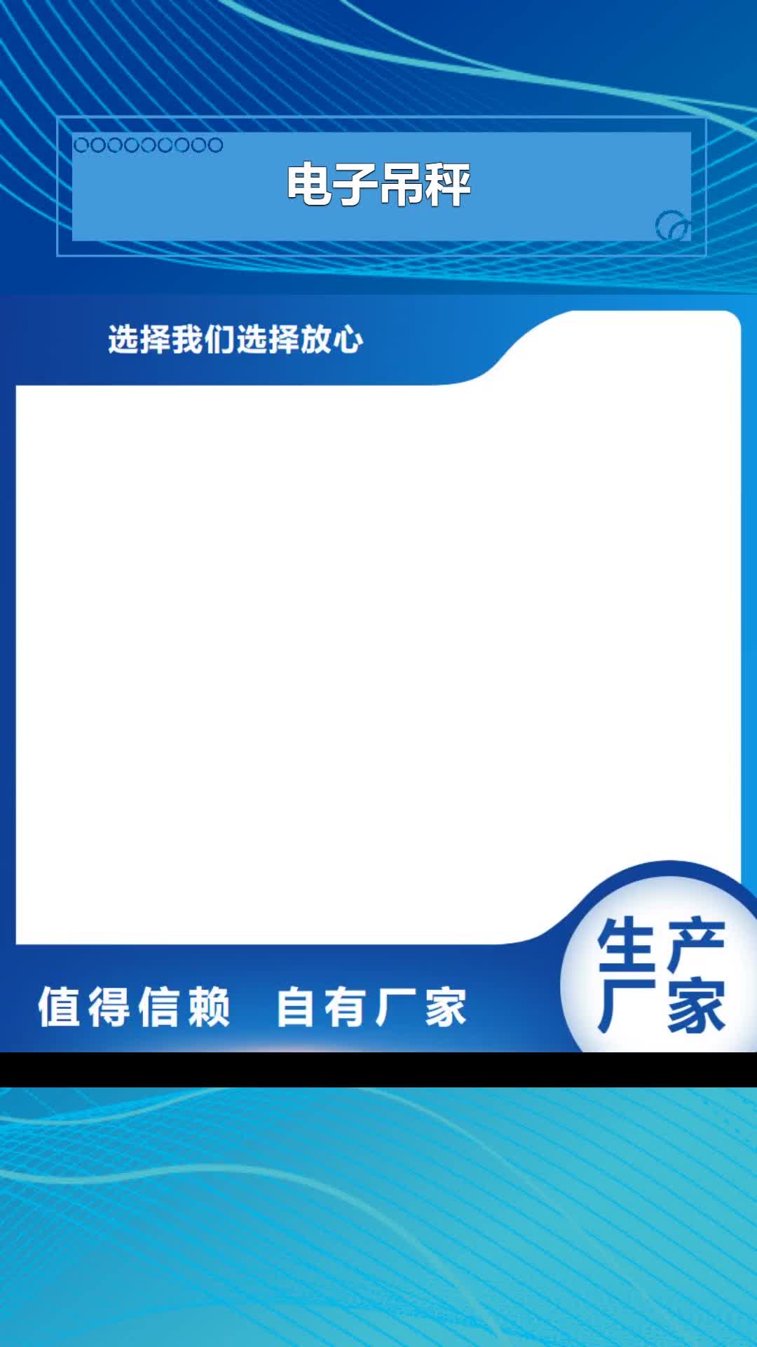 泰安 电子吊秤【电子磅】产地货源