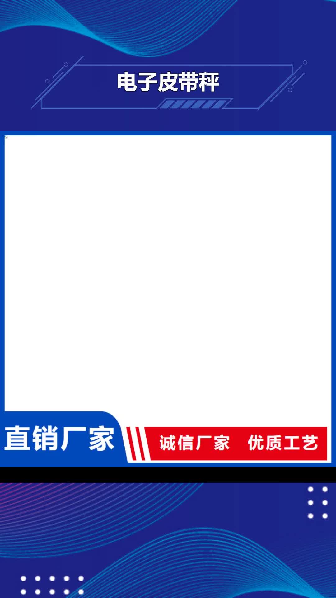 【衢州 电子皮带秤电子地磅多种规格供您选择】