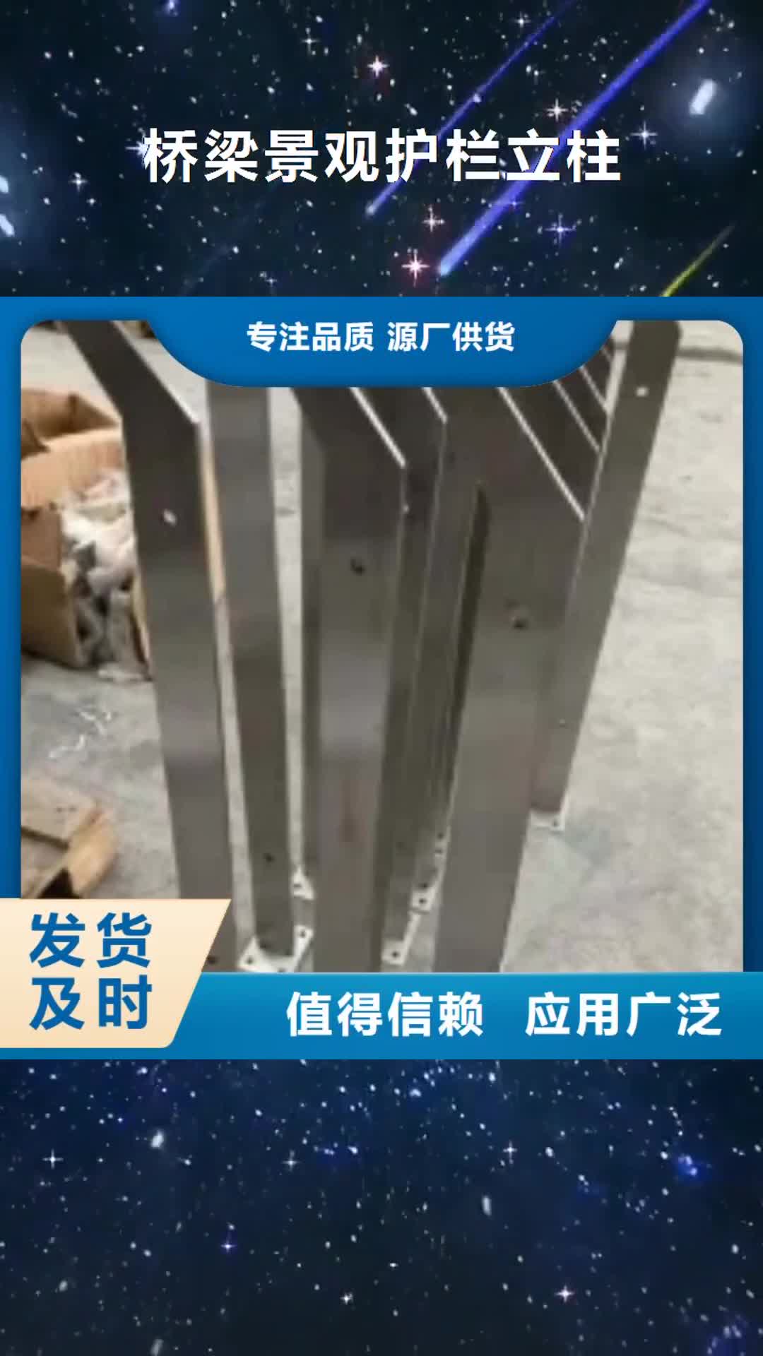 枣庄【桥梁景观护栏立柱】-不锈钢护栏厂家产品细节