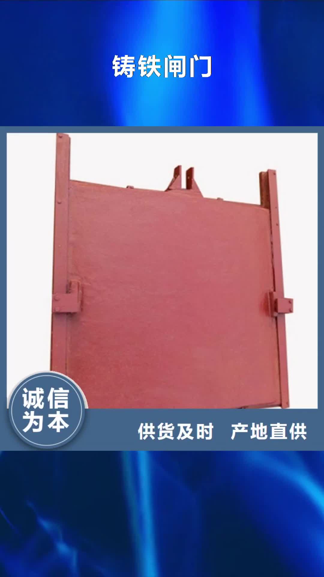 丹东【铸铁闸门】_拍门厂家好货直销