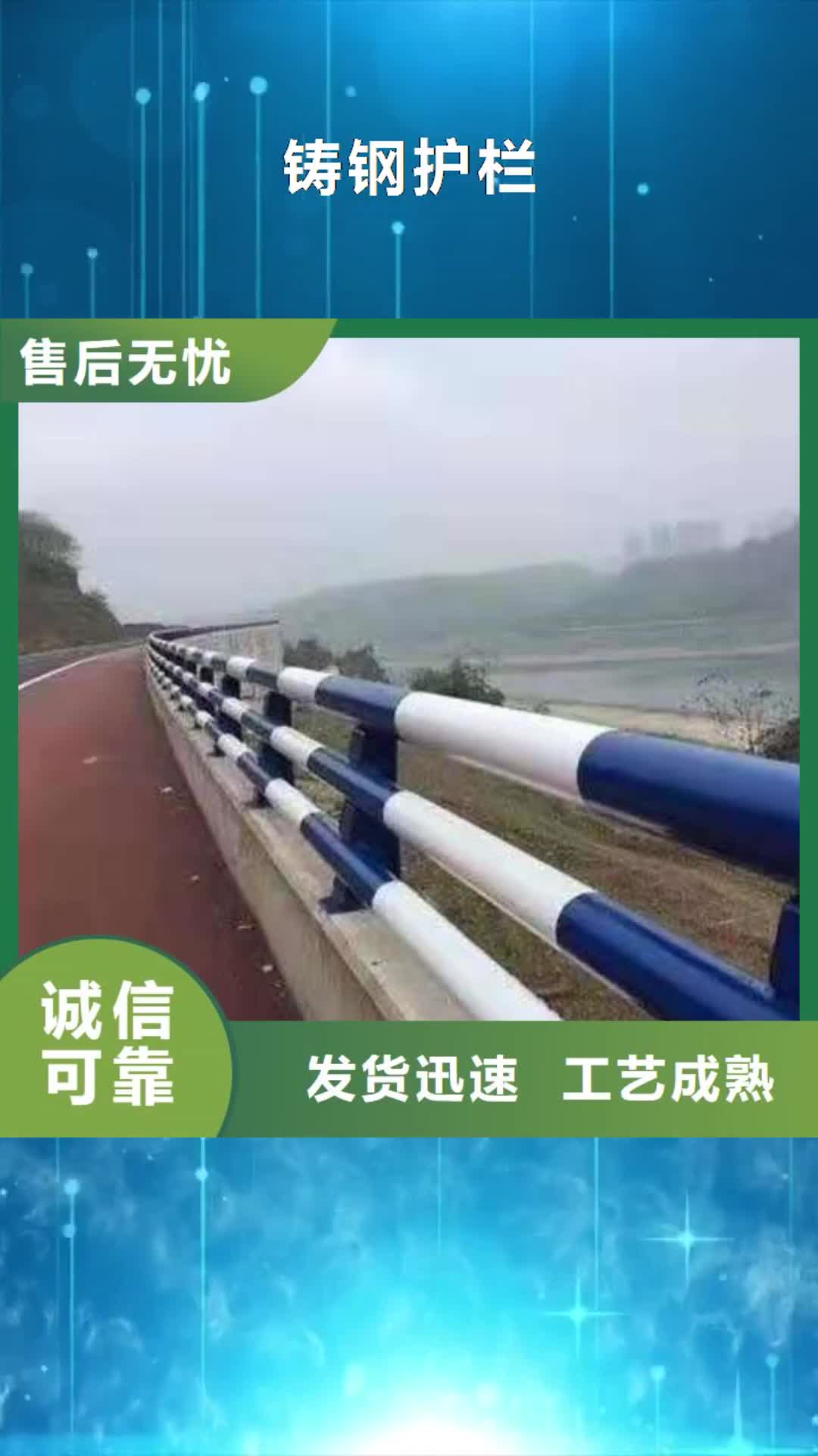 【衡水 铸钢护栏-锌钢护栏每一处都是匠心制作】