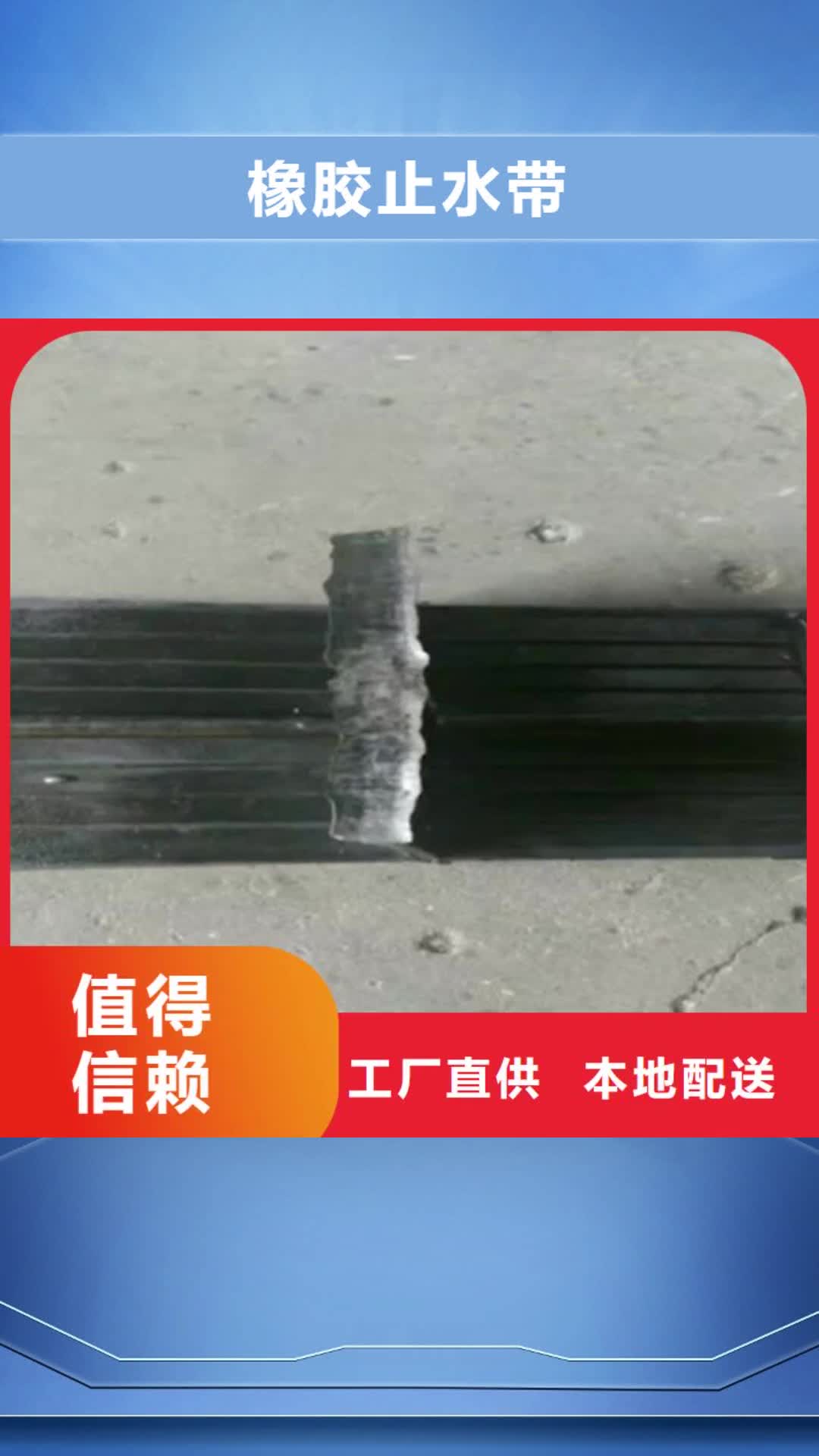 呼和浩特 橡胶止水带【网架支座厂家】做工精细