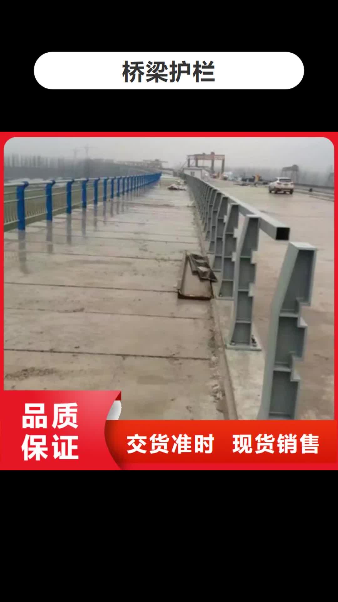 铜川【桥梁护栏】道路防撞护栏用心做好每一件产品