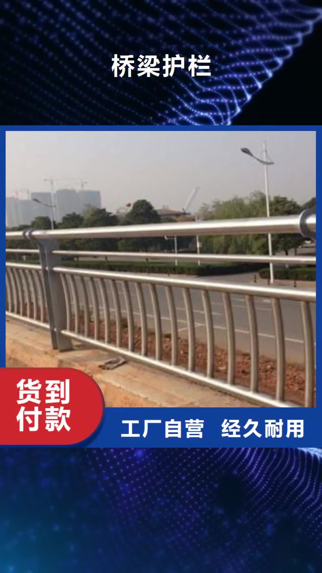 【海南 桥梁护栏-桥梁栏杆厂家案例】