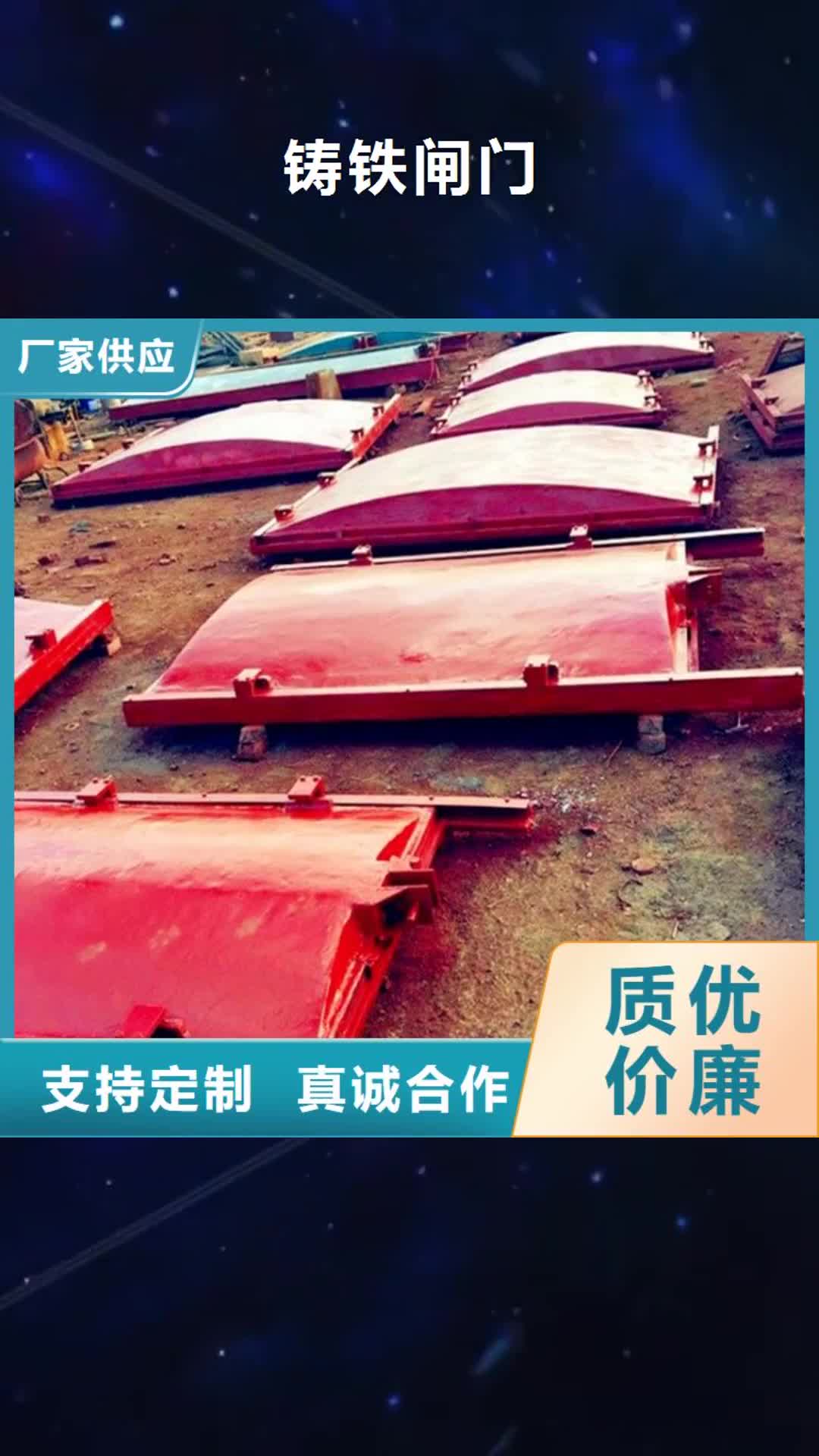 迪庆【铸铁闸门】 电动装置启闭机让利客户