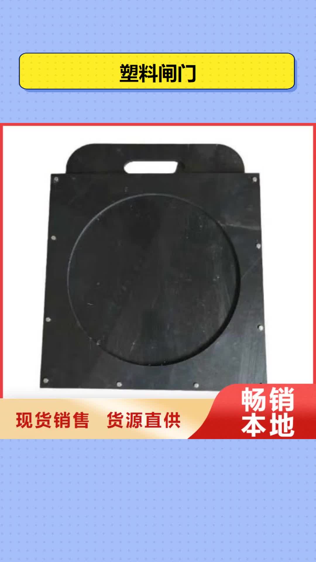 连云港【塑料闸门】不锈钢清污机好货直供