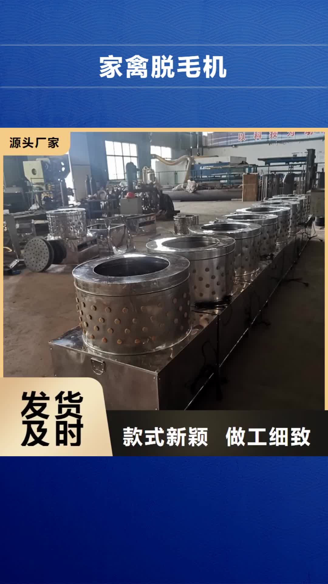 【张家界 家禽脱毛机-输送机实体厂家】