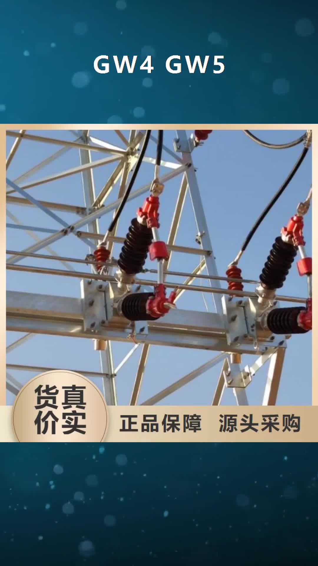 南陽 GW4  GW5-【電力金具】加工定制