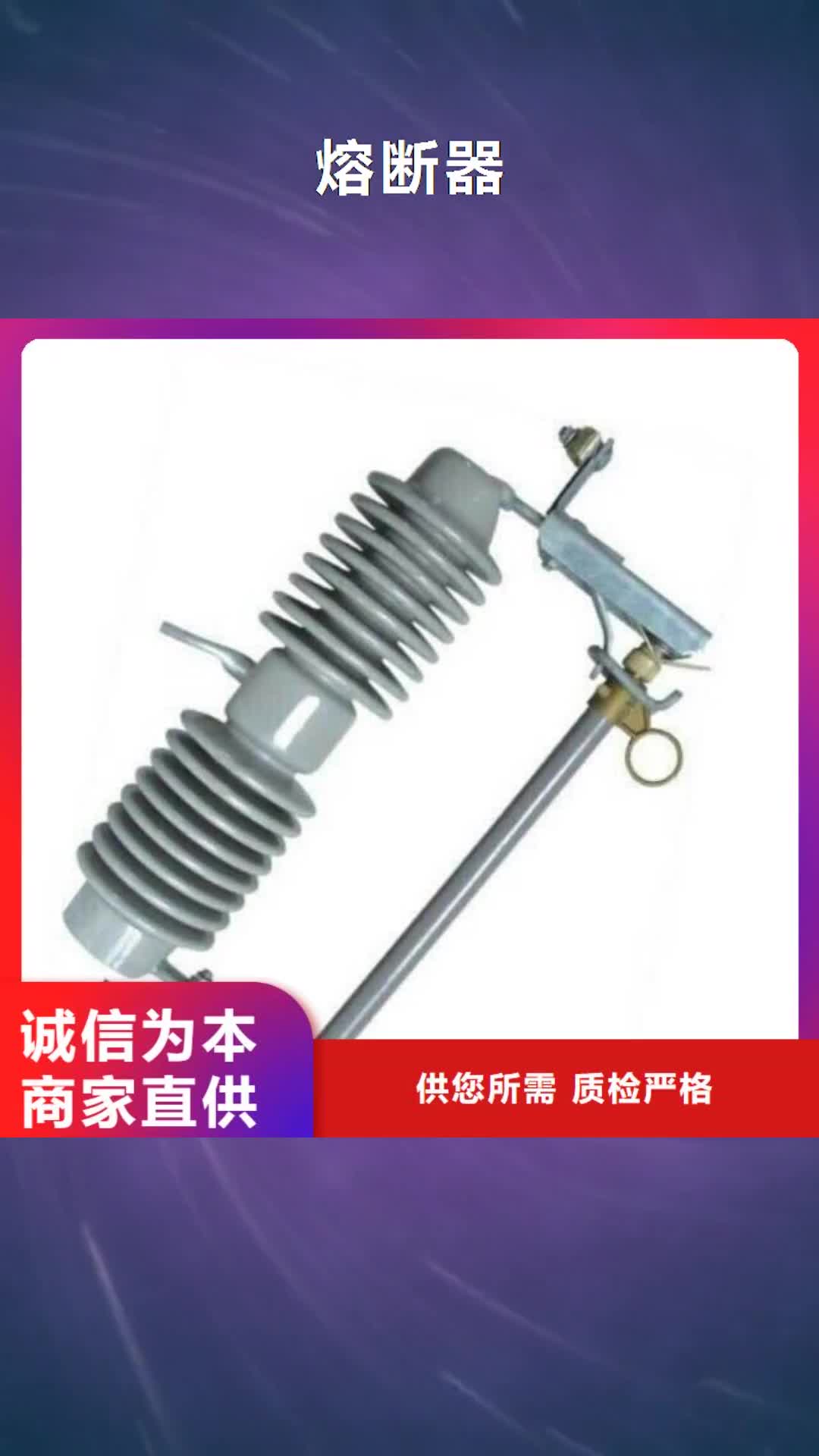 临夏 熔断器_【绝缘子厂家】产品细节