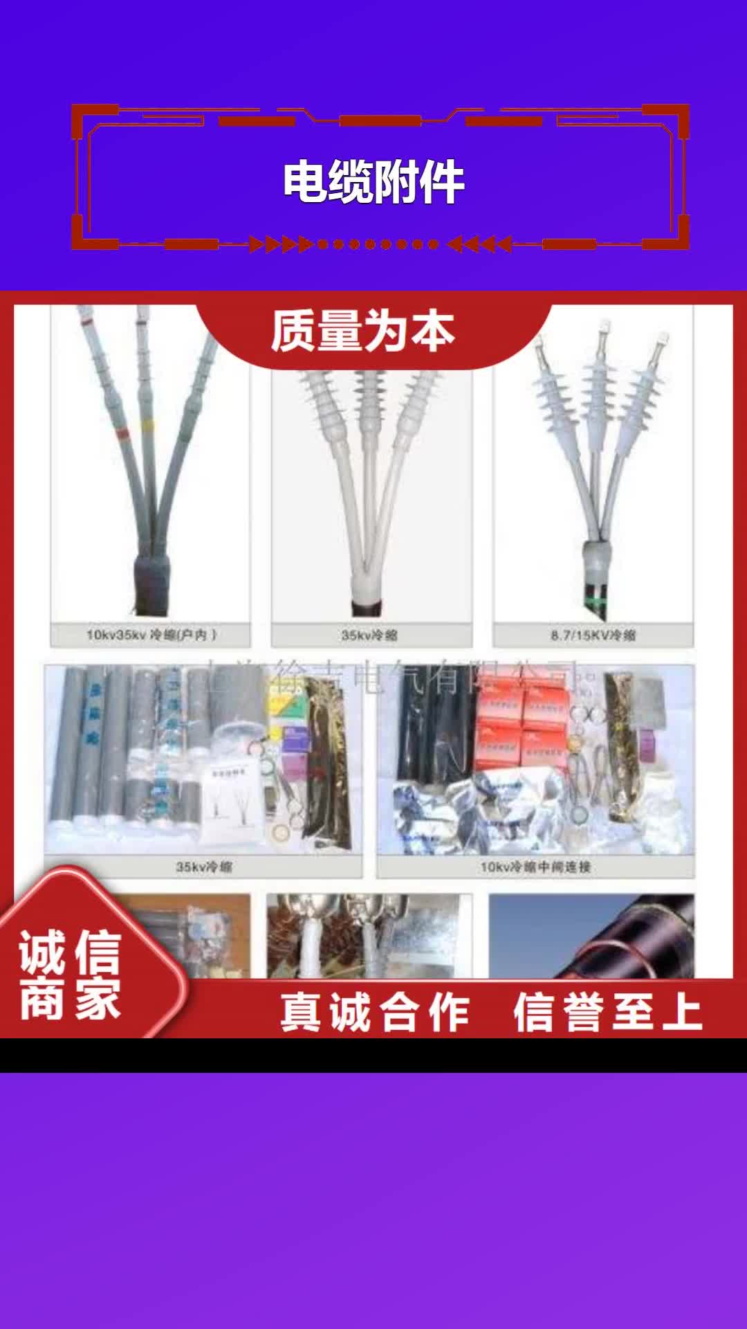 济宁【电缆附件】-三相组合式避雷器打造好品质
