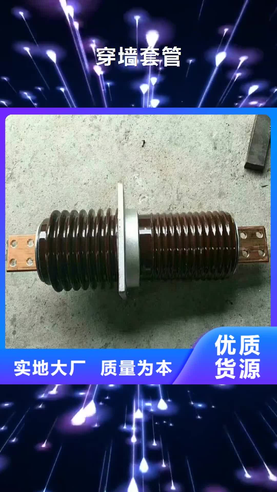 【大庆穿墙套管高压负荷开关我们更专业】