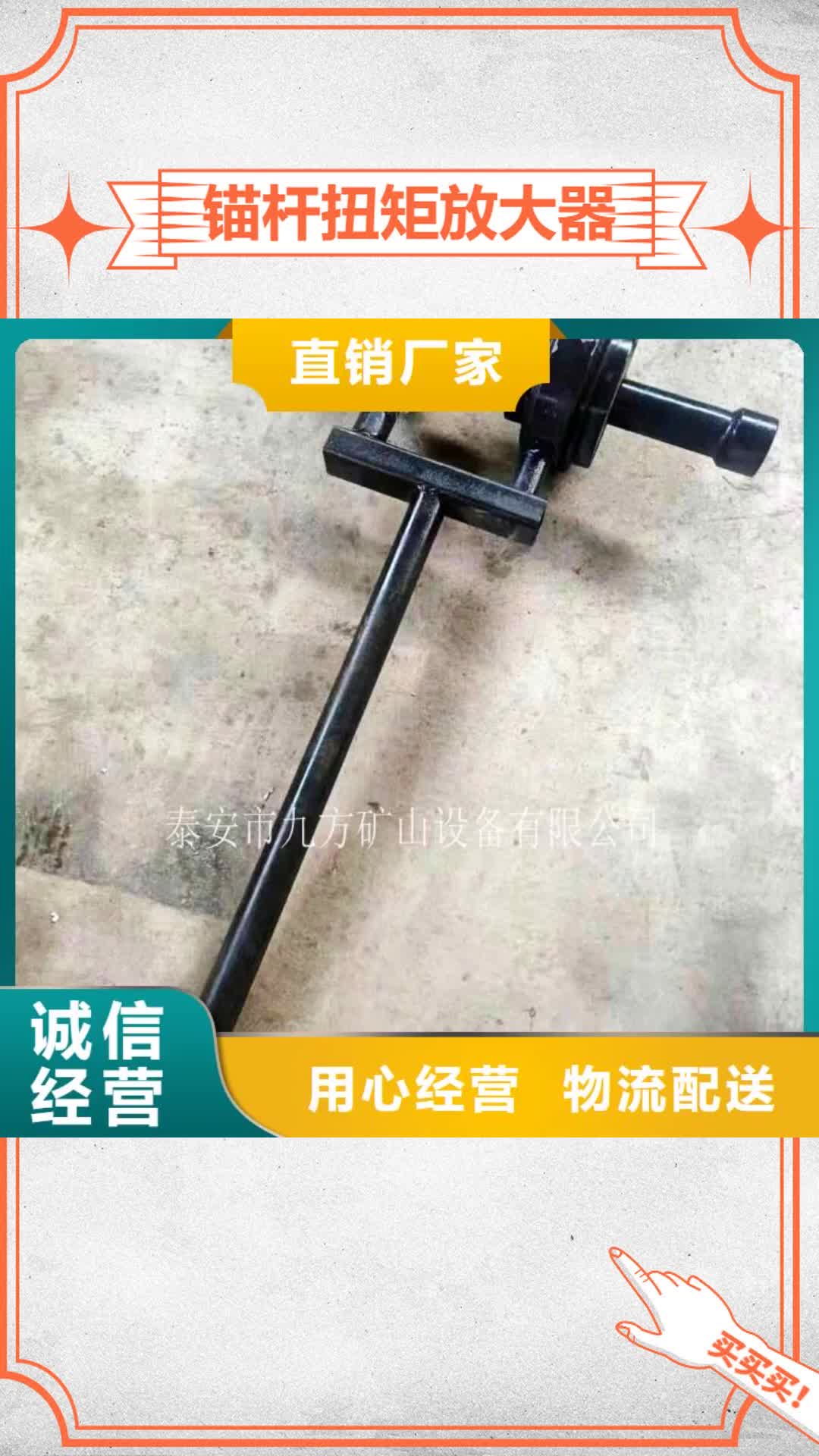 【邵阳 锚杆扭矩放大器,顶板离层仪质量检测】