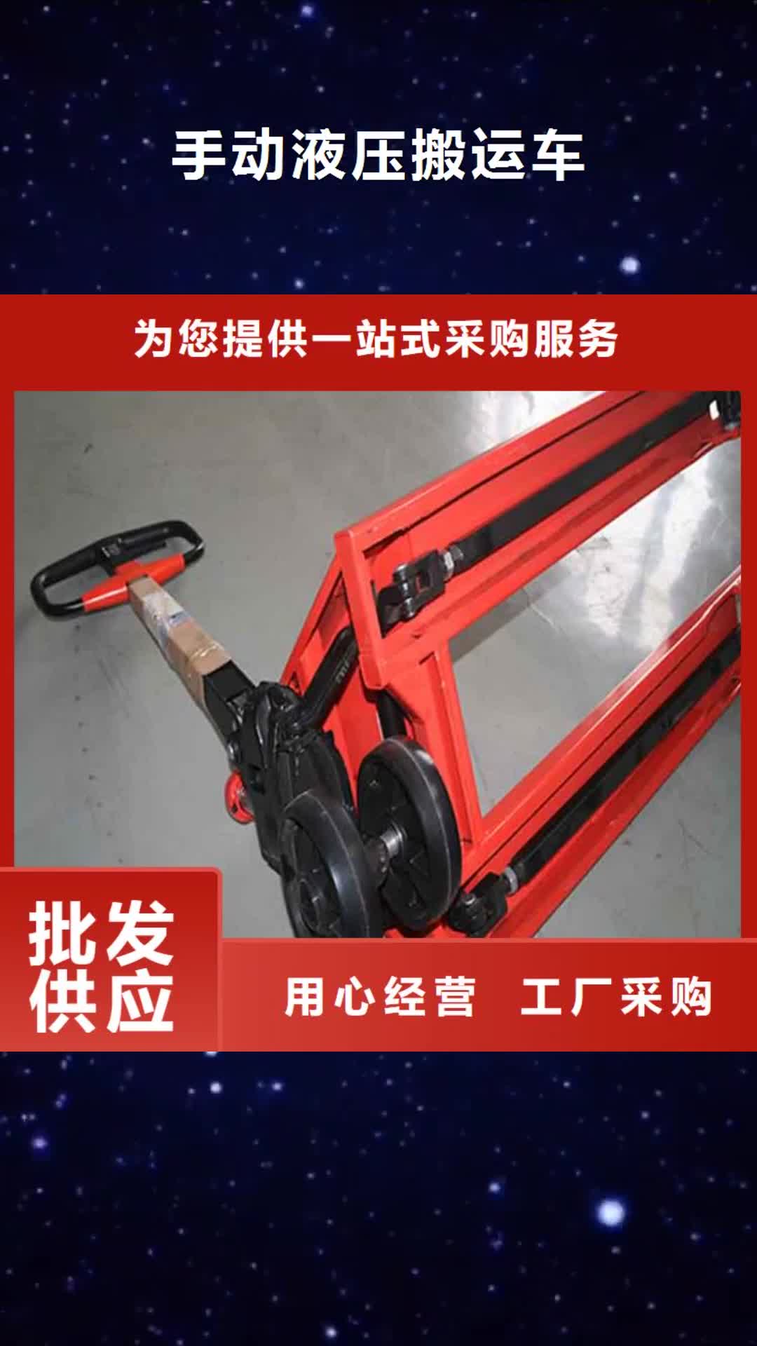 庆阳 手动液压搬运车【贯通式货架】厂家直销省心省钱