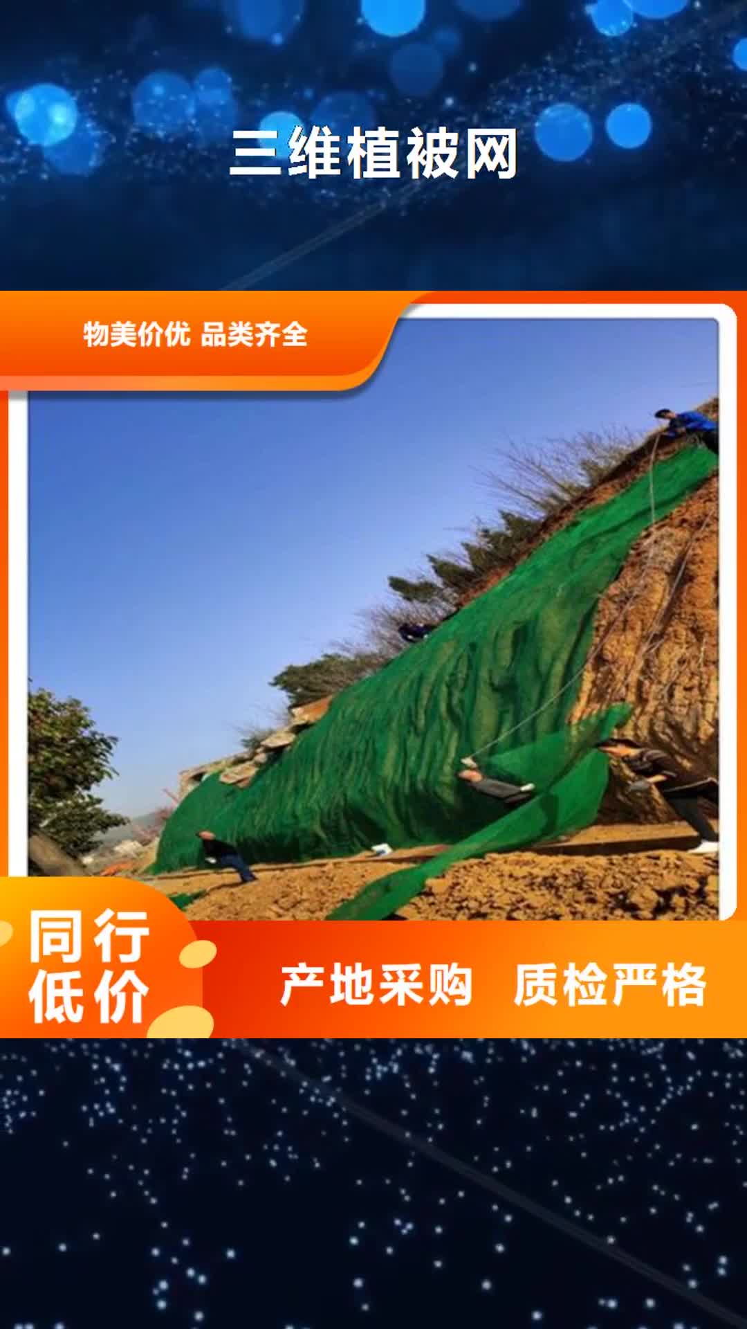 【江苏 三维植被网双向塑料土工格栅实体诚信厂家】