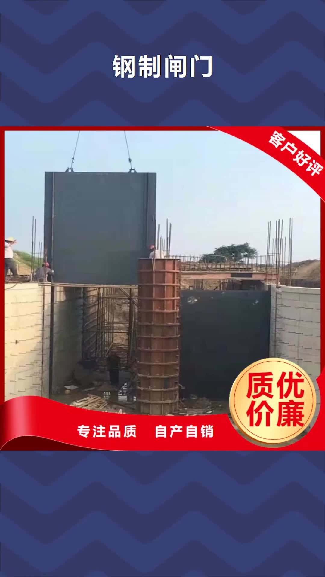 【甘肃 钢制闸门滑动钢制闸门随到随提】