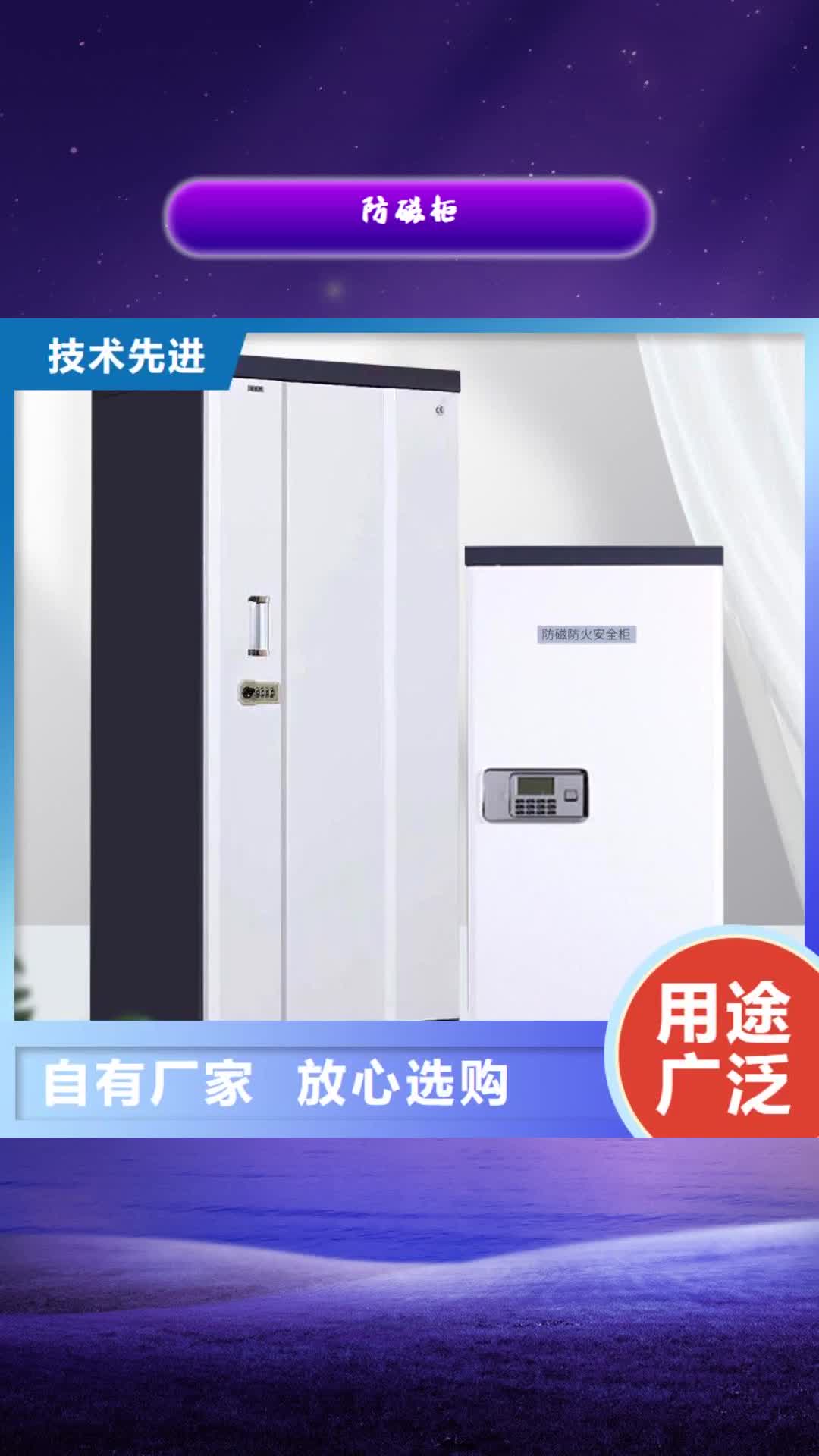 河北 防磁柜 【档案柜厂家】现货快速采购