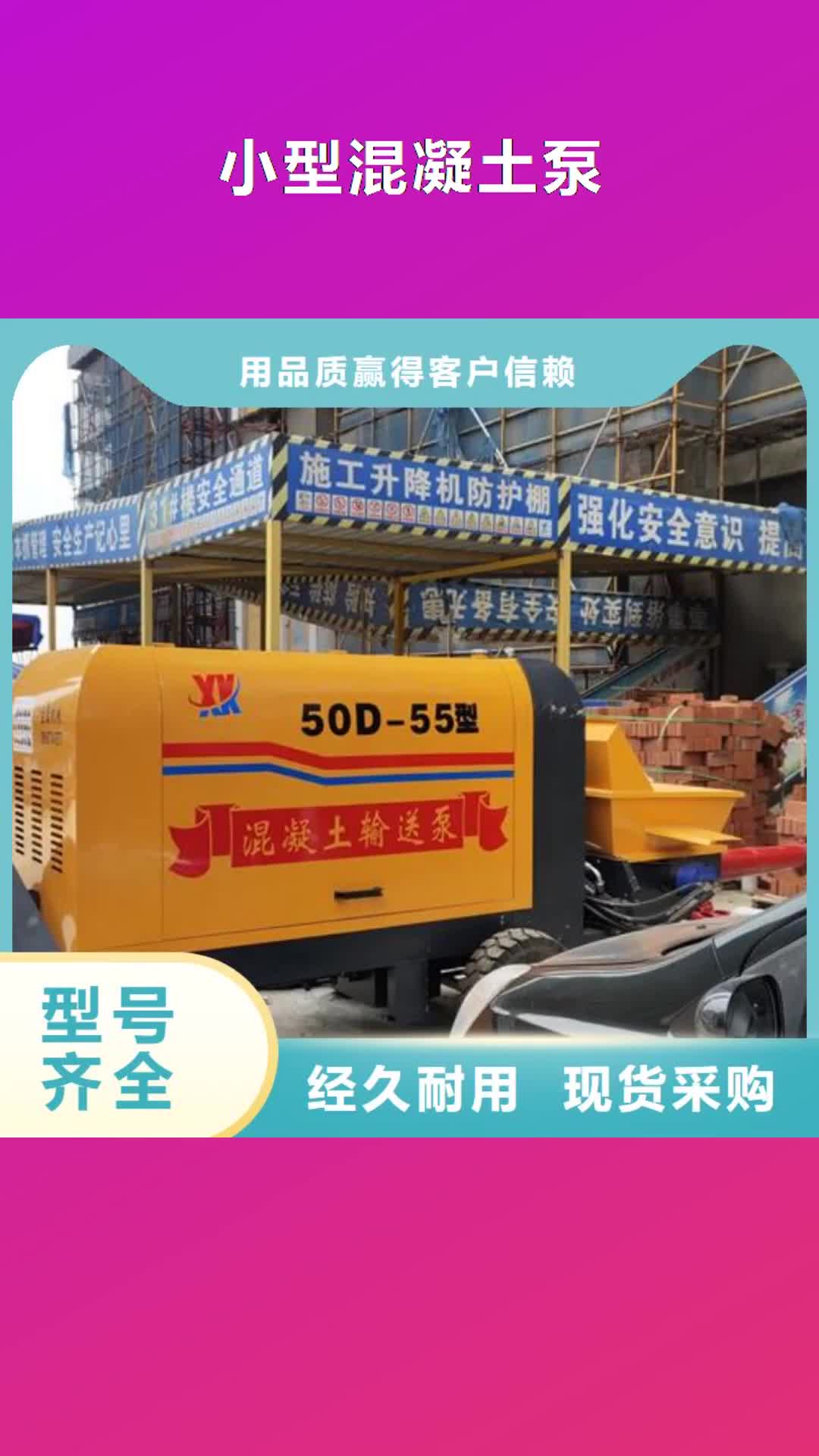 绥化【小型混凝土泵】_小型混凝土输送泵支持定制批发