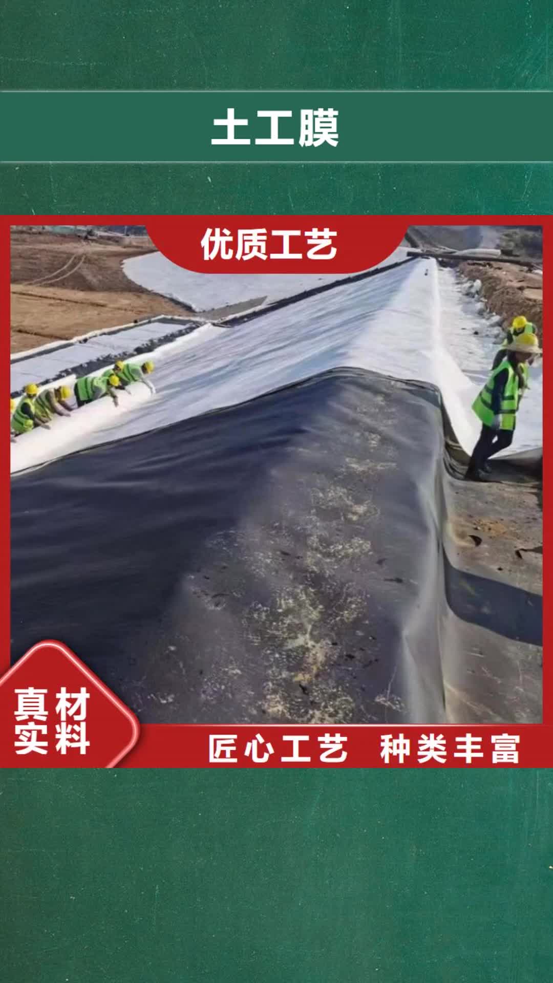 葫芦岛 土工膜 【钢塑土工格栅】来图定制