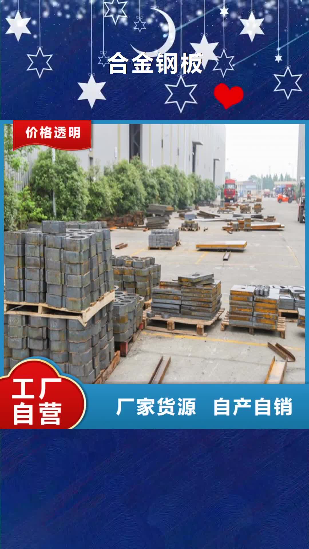 【日照 合金钢板,锅炉容器板闪电发货】