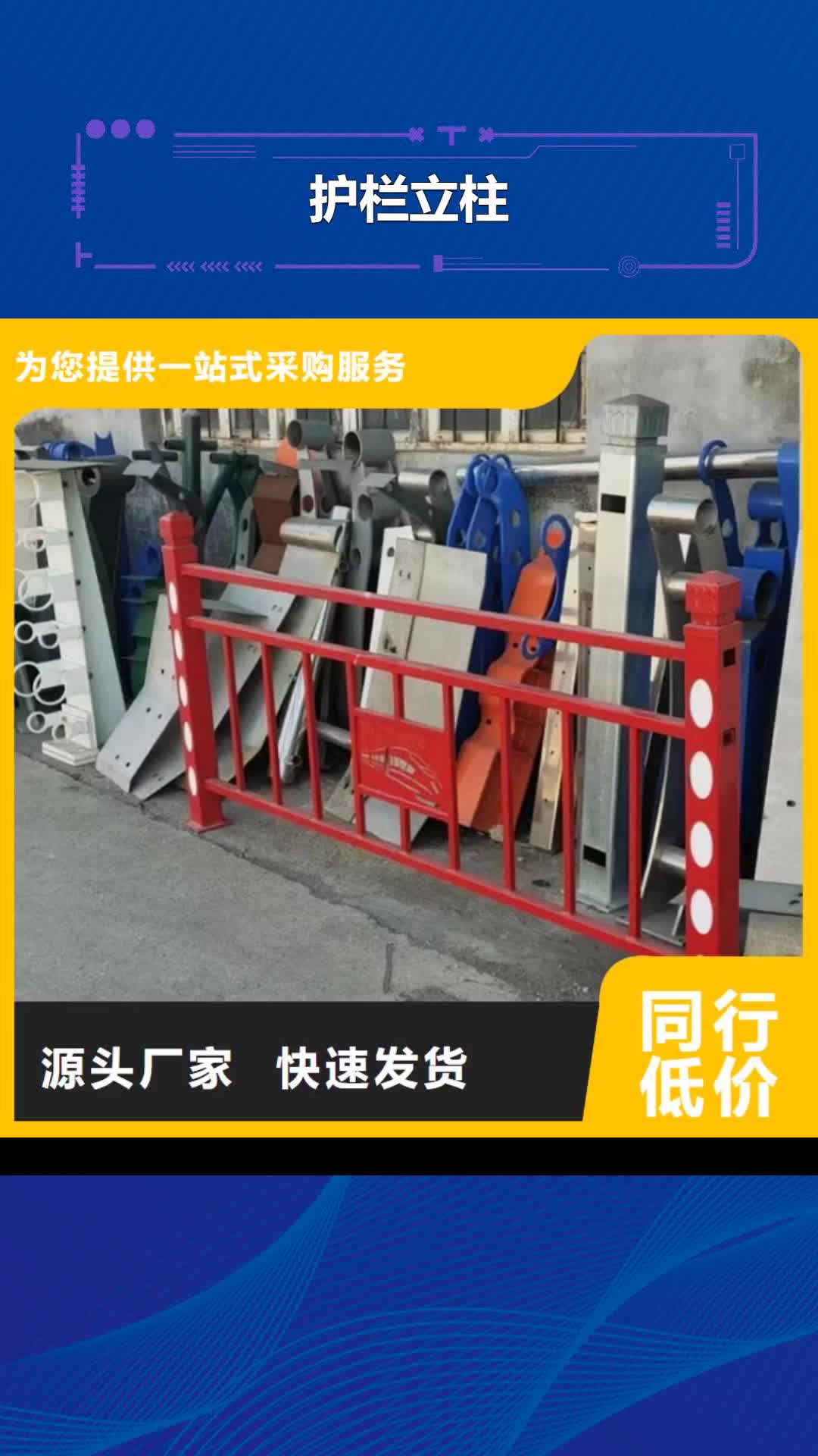 【厦门 护栏立柱-桥梁护栏厂家N年生产经验】