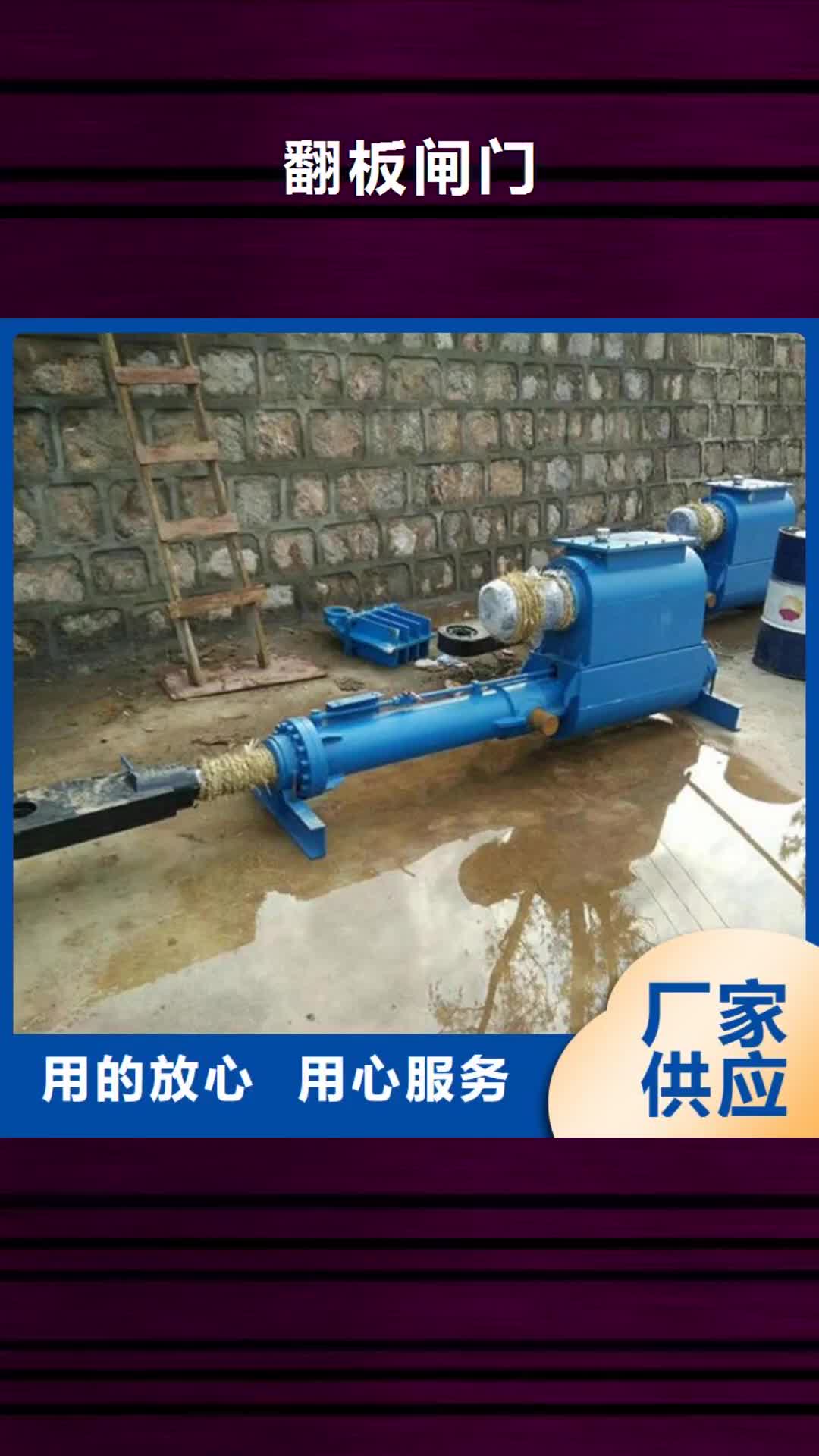【吉林 翻板闸门 闸门启闭机精心打造】