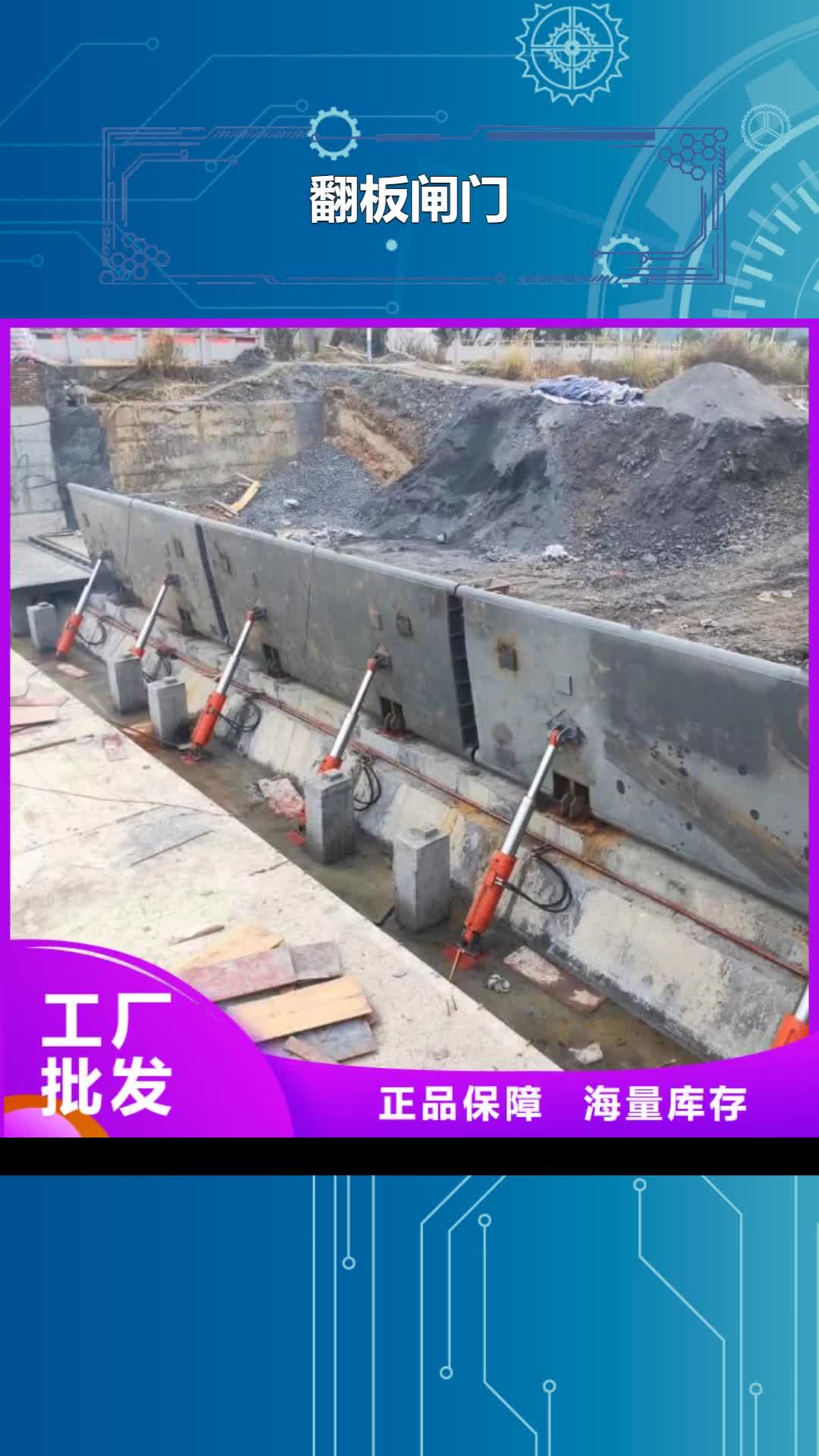 海南 翻板闸门_【排灌渠铸铁闸门】采购