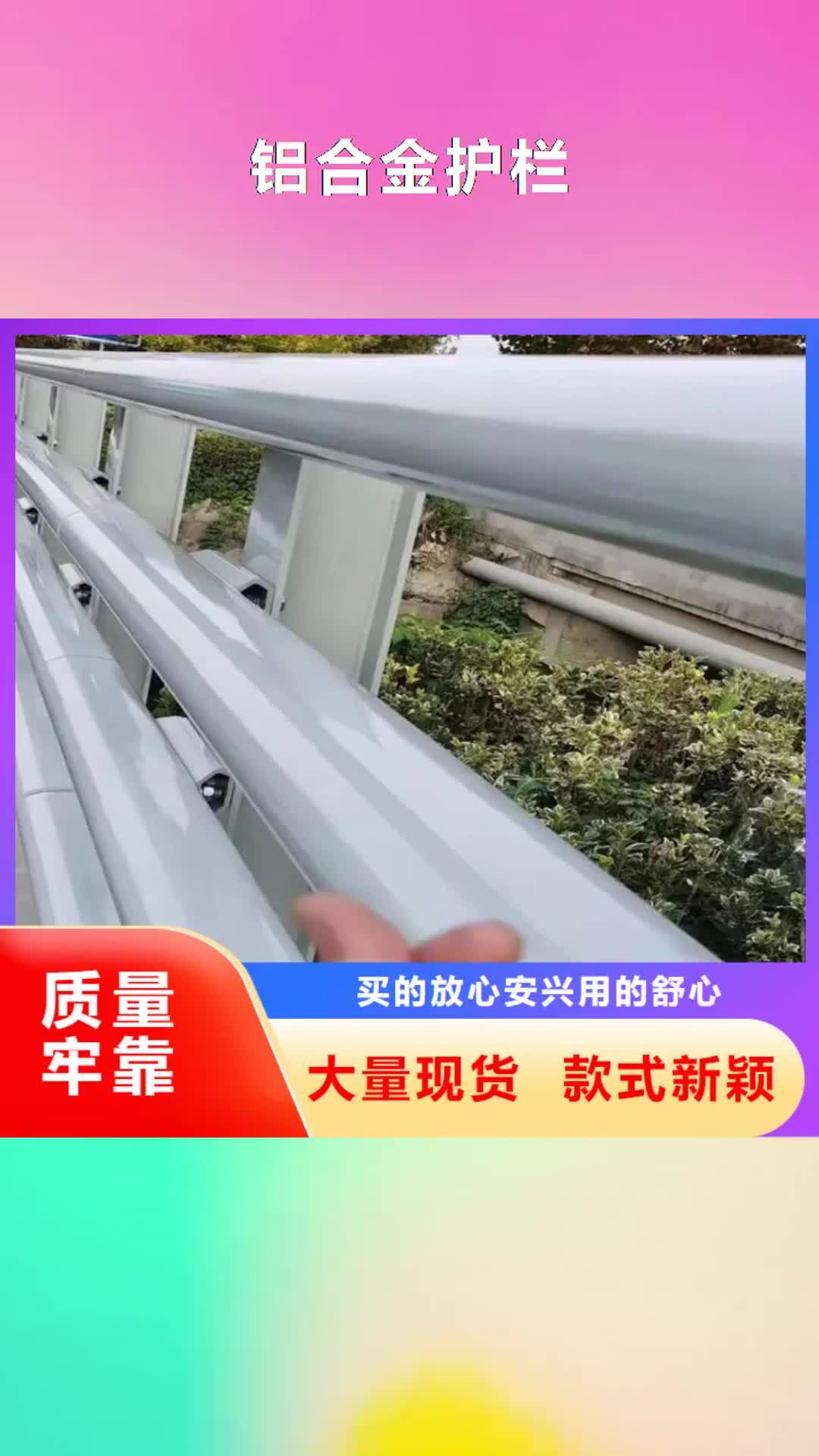 崇左 鋁合金護欄【不銹鋼橋梁兩側(cè)防護欄】源頭廠源頭貨