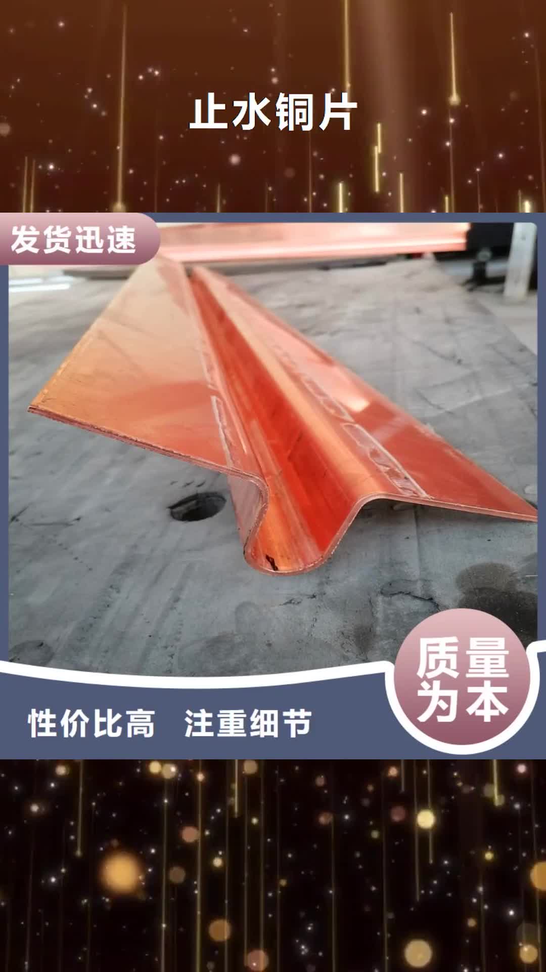 廣州 止水銅片-【土工格柵】產(chǎn)地采購(gòu)