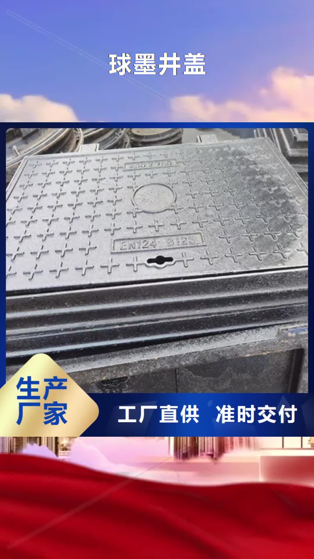 巴中 球墨井蓋【電力井蓋】多行業(yè)適用