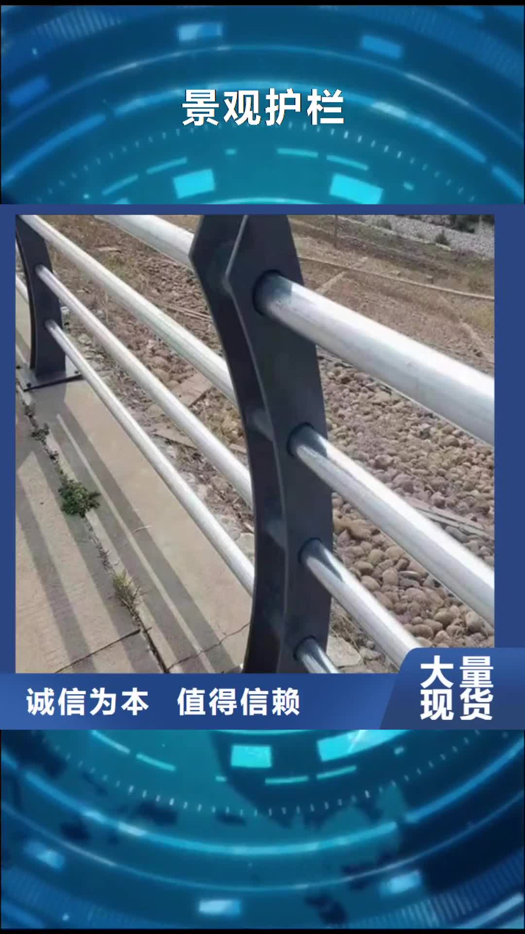 【阿里 景觀護(hù)欄 燈光護(hù)欄源頭廠源頭貨】