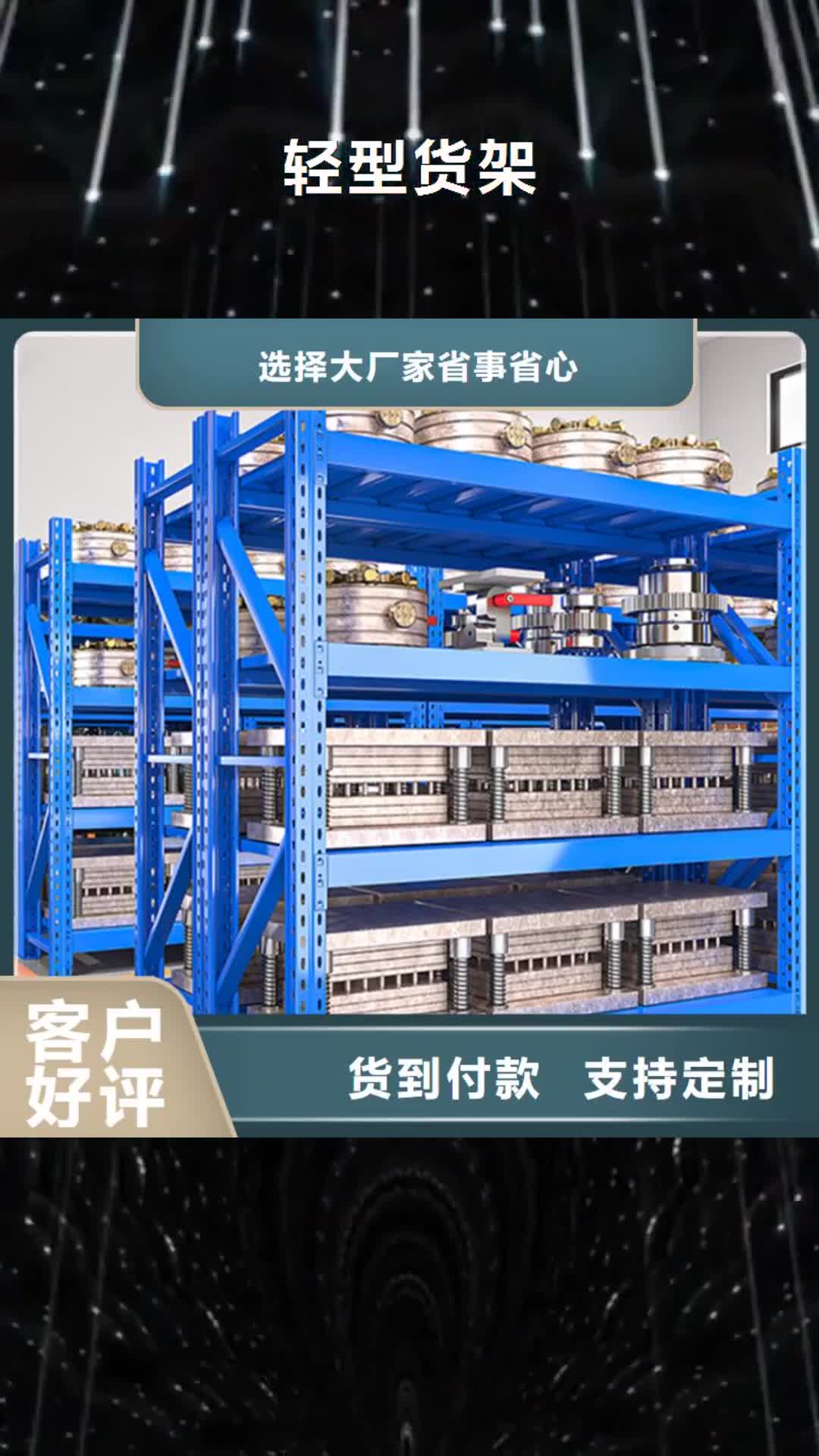 江苏【轻型货架】 文件柜讲信誉保质量