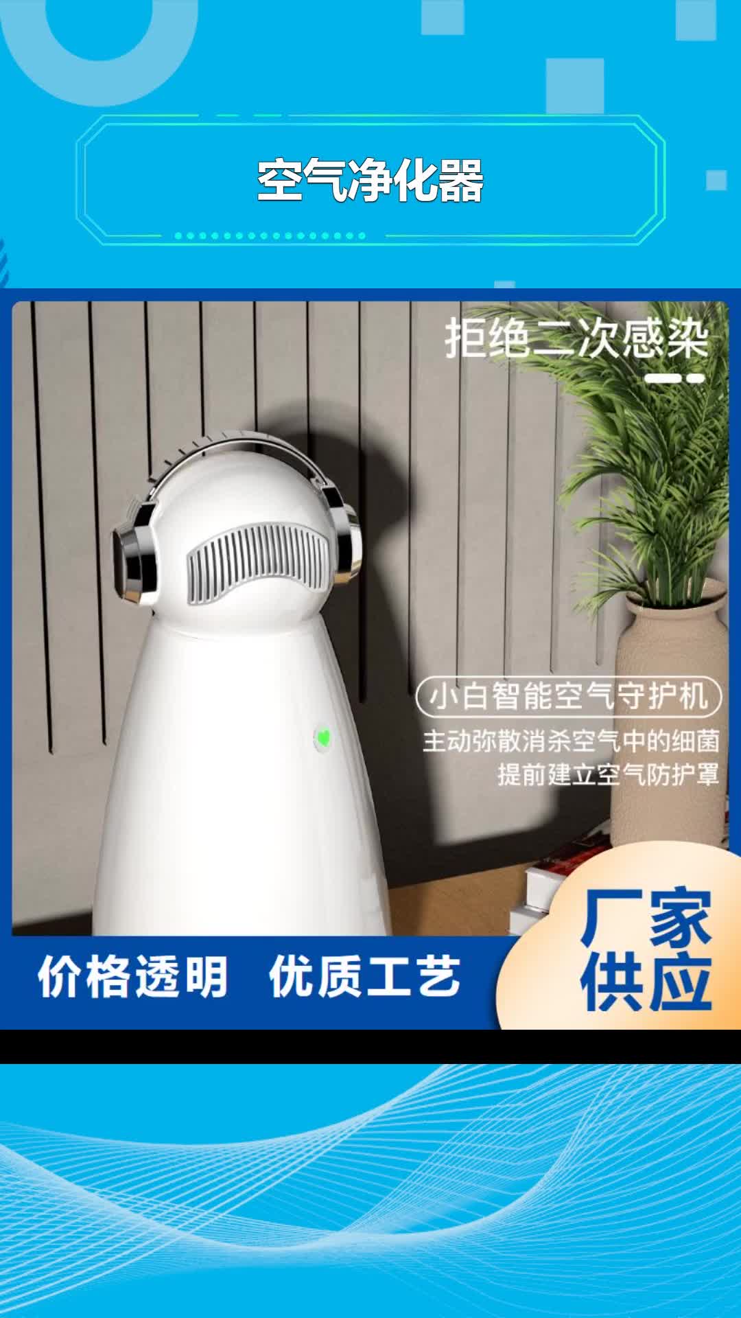 邢台【空气净化器】-无臭养宠您身边的厂家