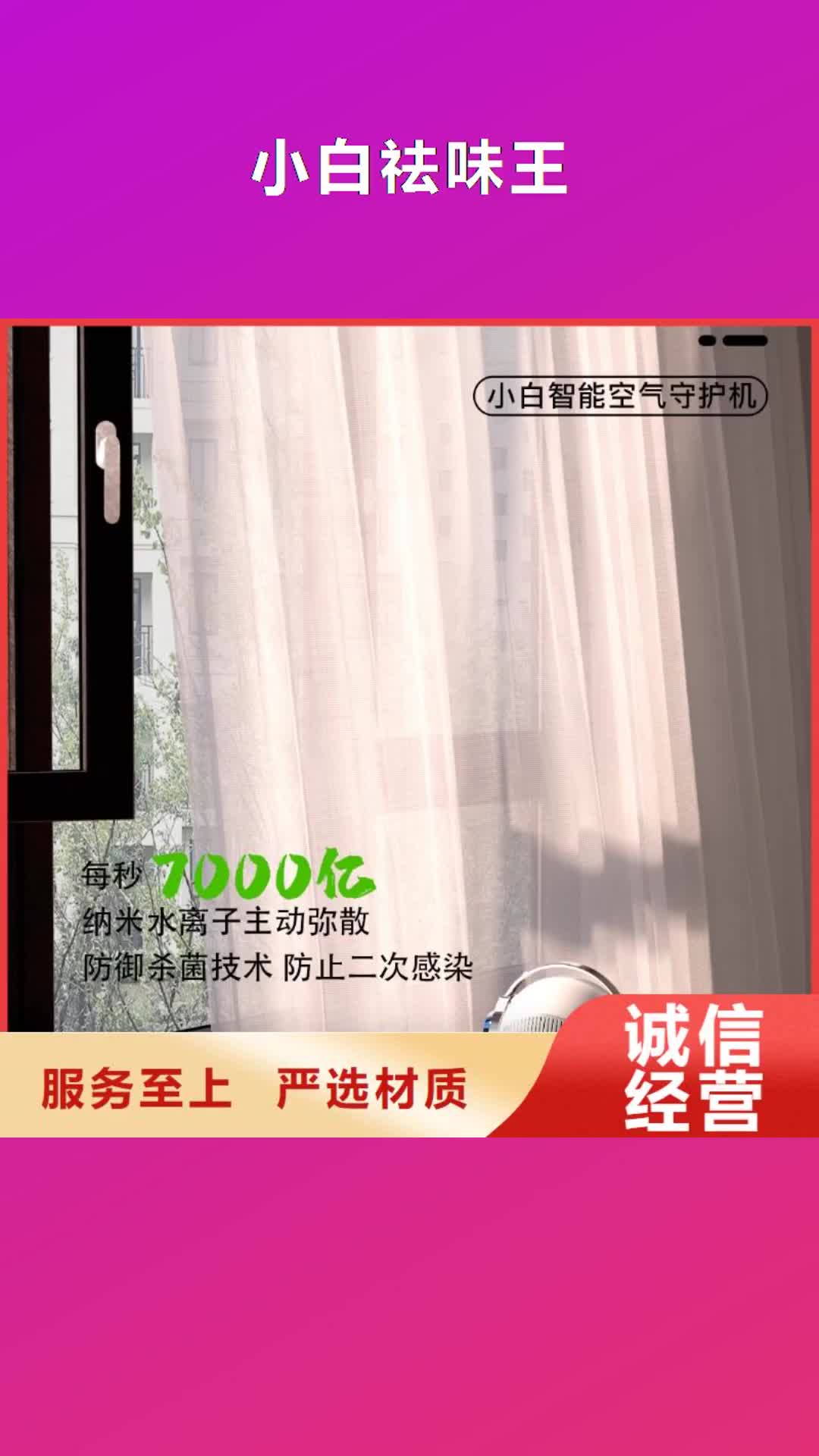 【河南 小白祛味王 小白空气守护机产地厂家直销】