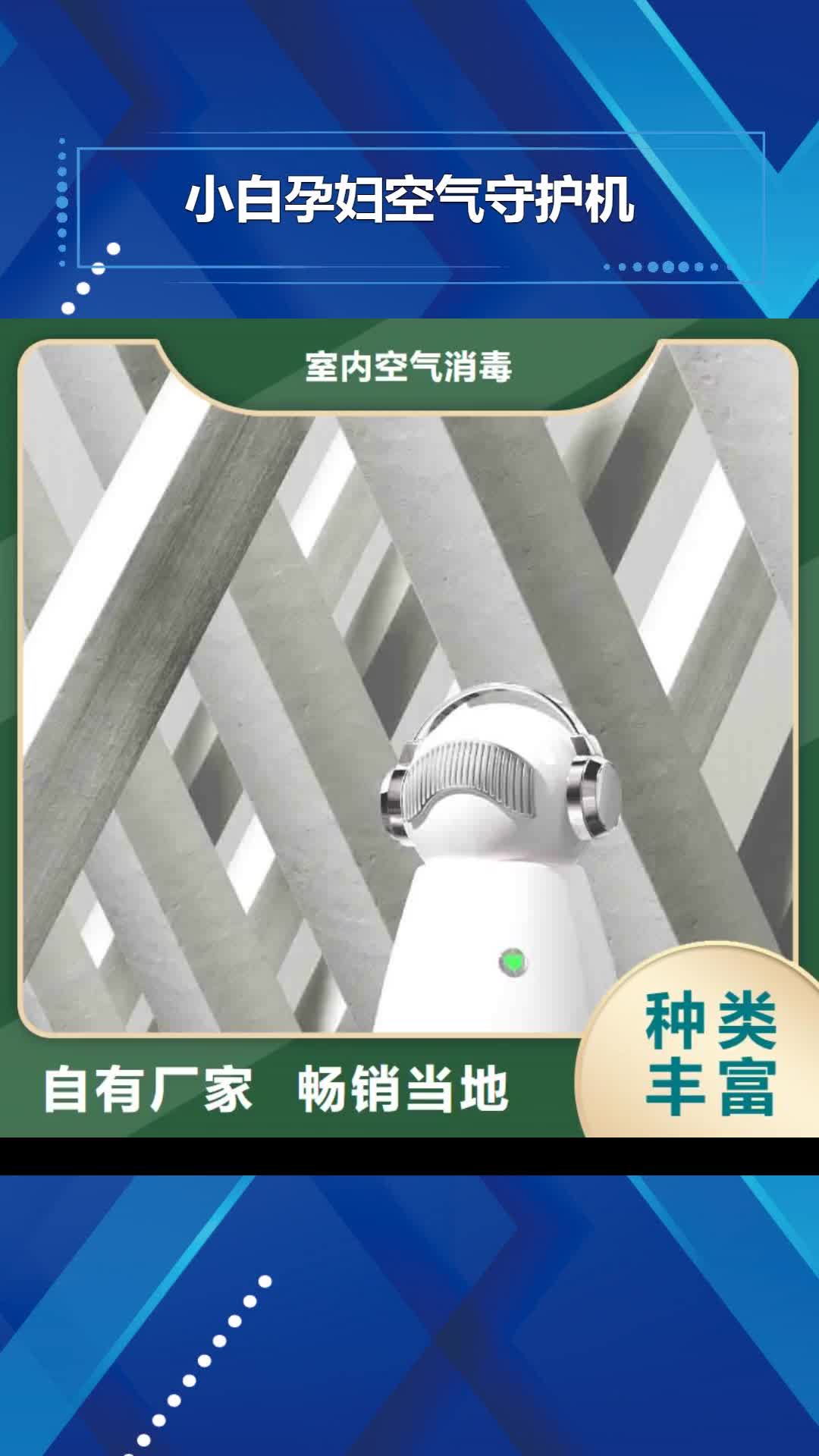 【临汾 小白孕妇空气守护机,无臭养宠量大更优惠】